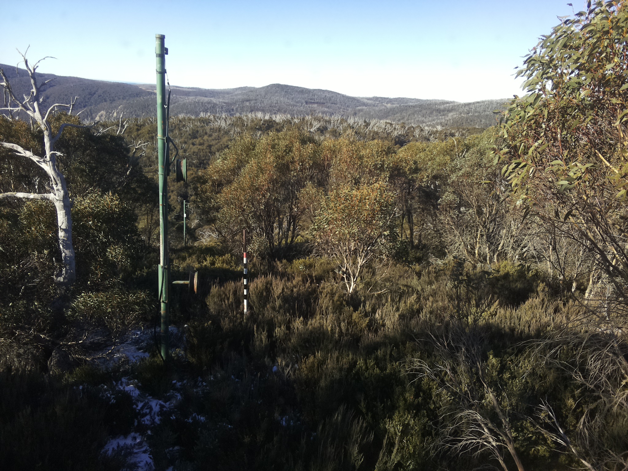 Bogong Web Cam 9:50am Saturday 31st of May 2025