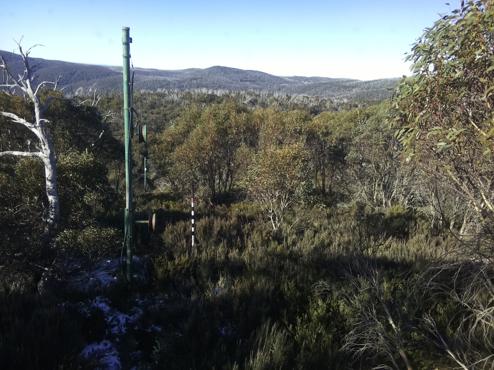Bogong Web Cam 10:00am Saturday 31st of May 2025