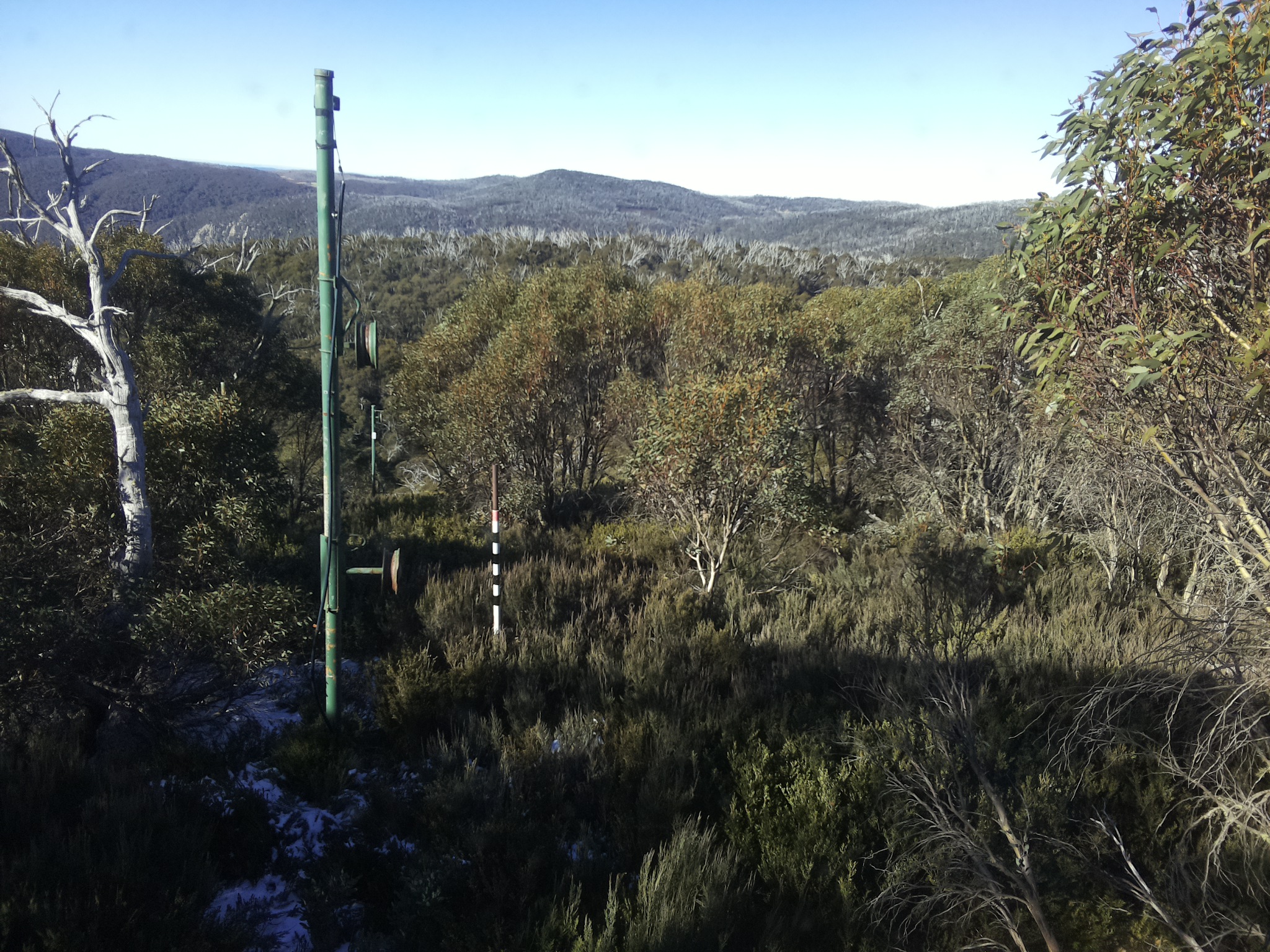 Bogong Web Cam 10:10am Saturday 31st of May 2025