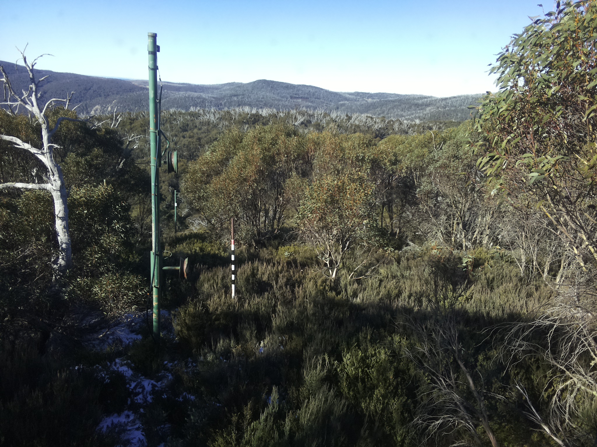 Bogong Web Cam 10:20am Saturday 31st of May 2025