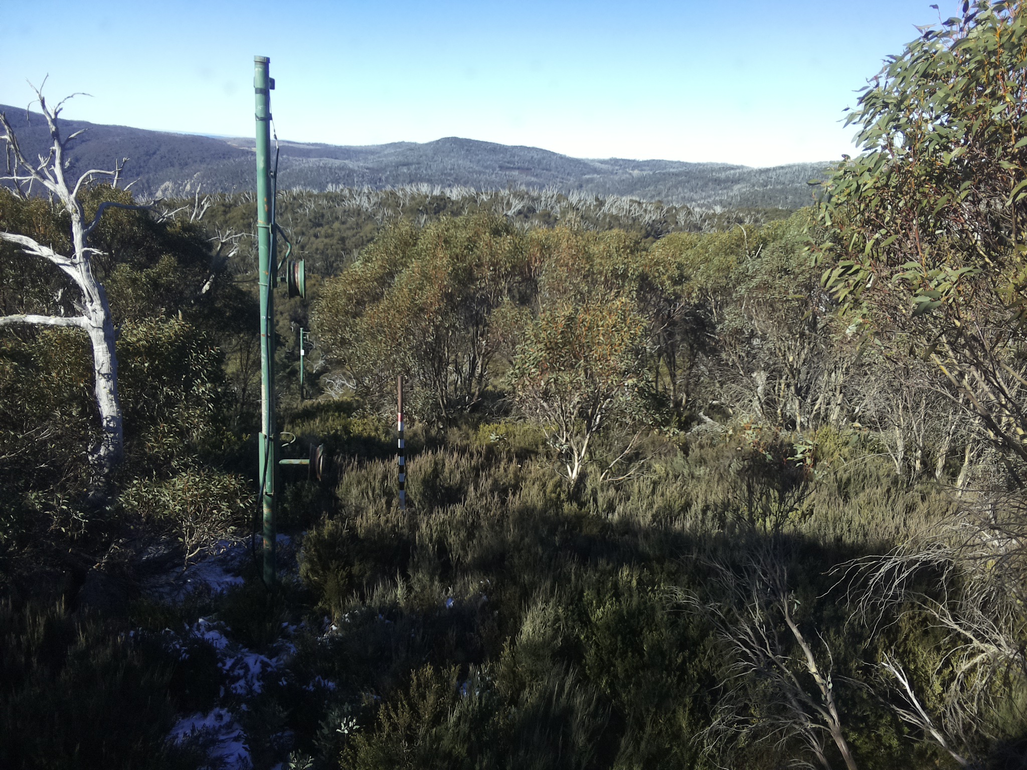 Bogong Web Cam 10:30am Saturday 31st of May 2025