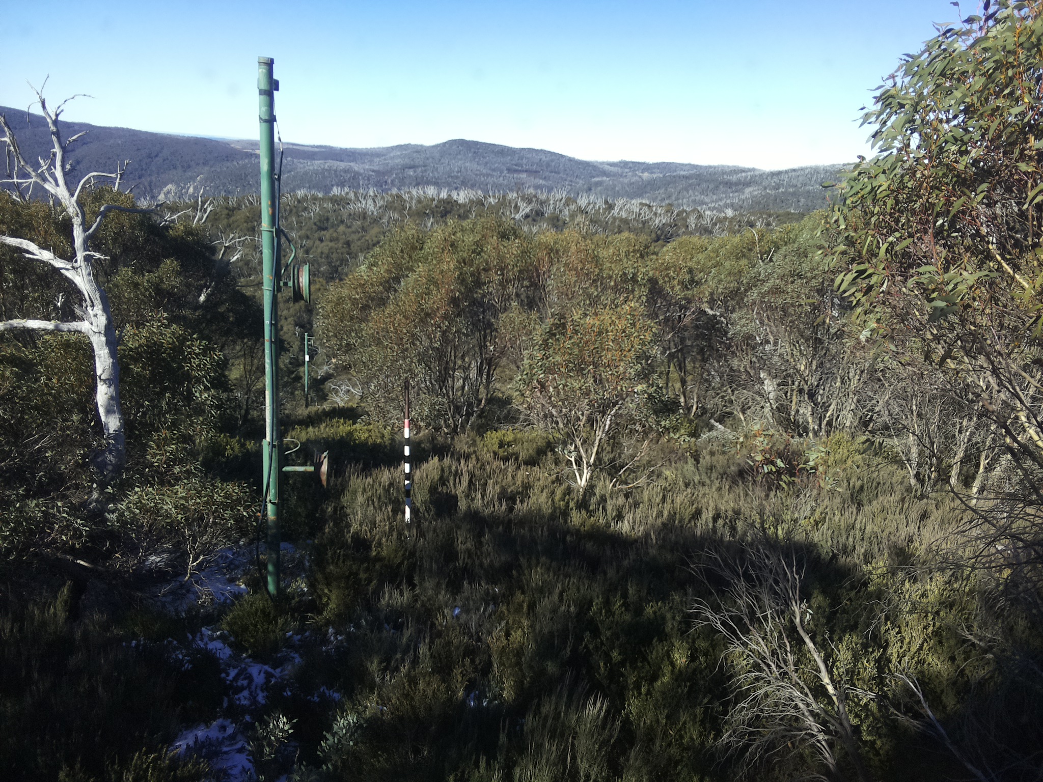 Bogong Web Cam 10:50am Saturday 31st of May 2025