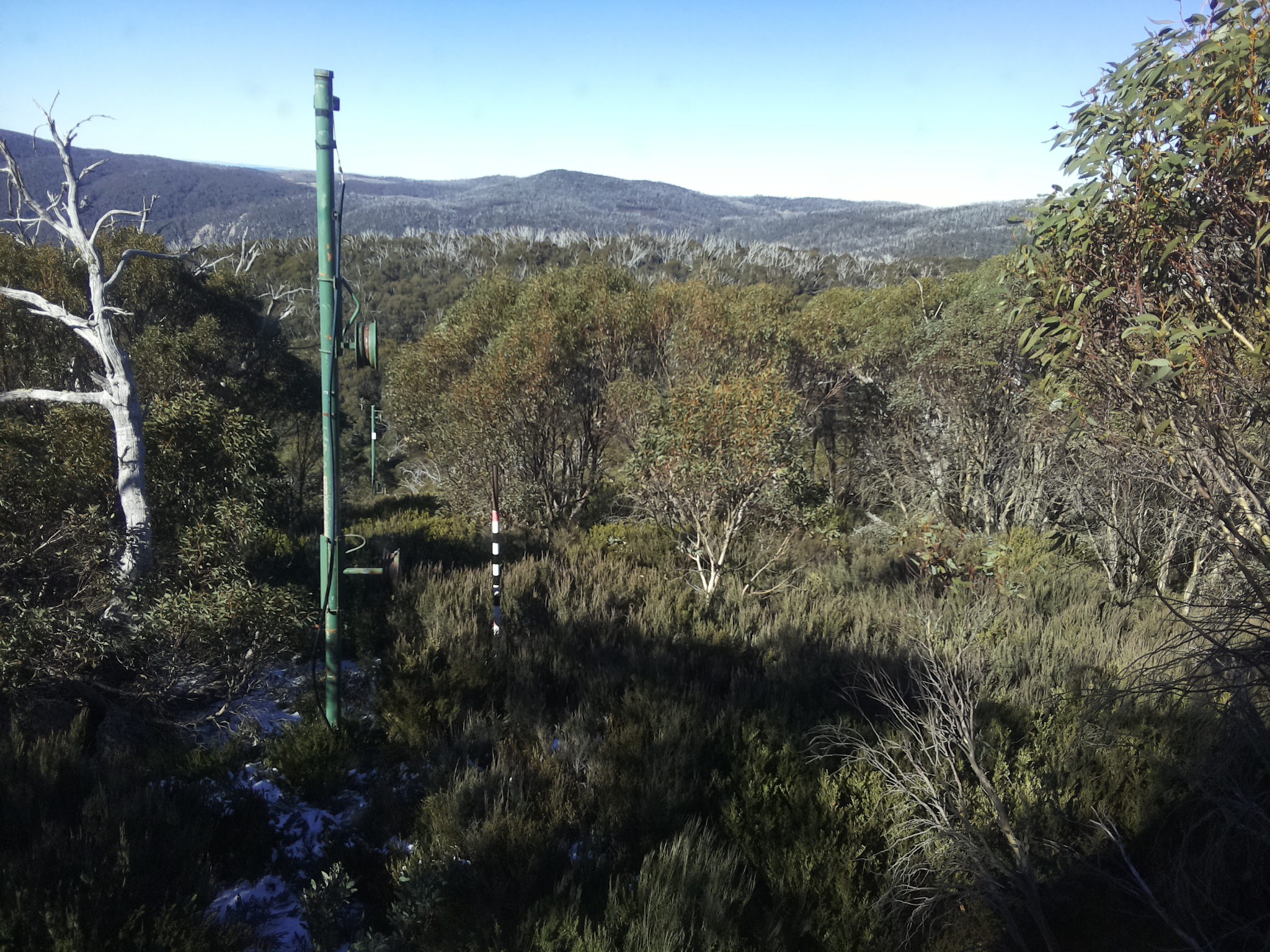Bogong Web Cam 11:00am Saturday 31st of May 2025