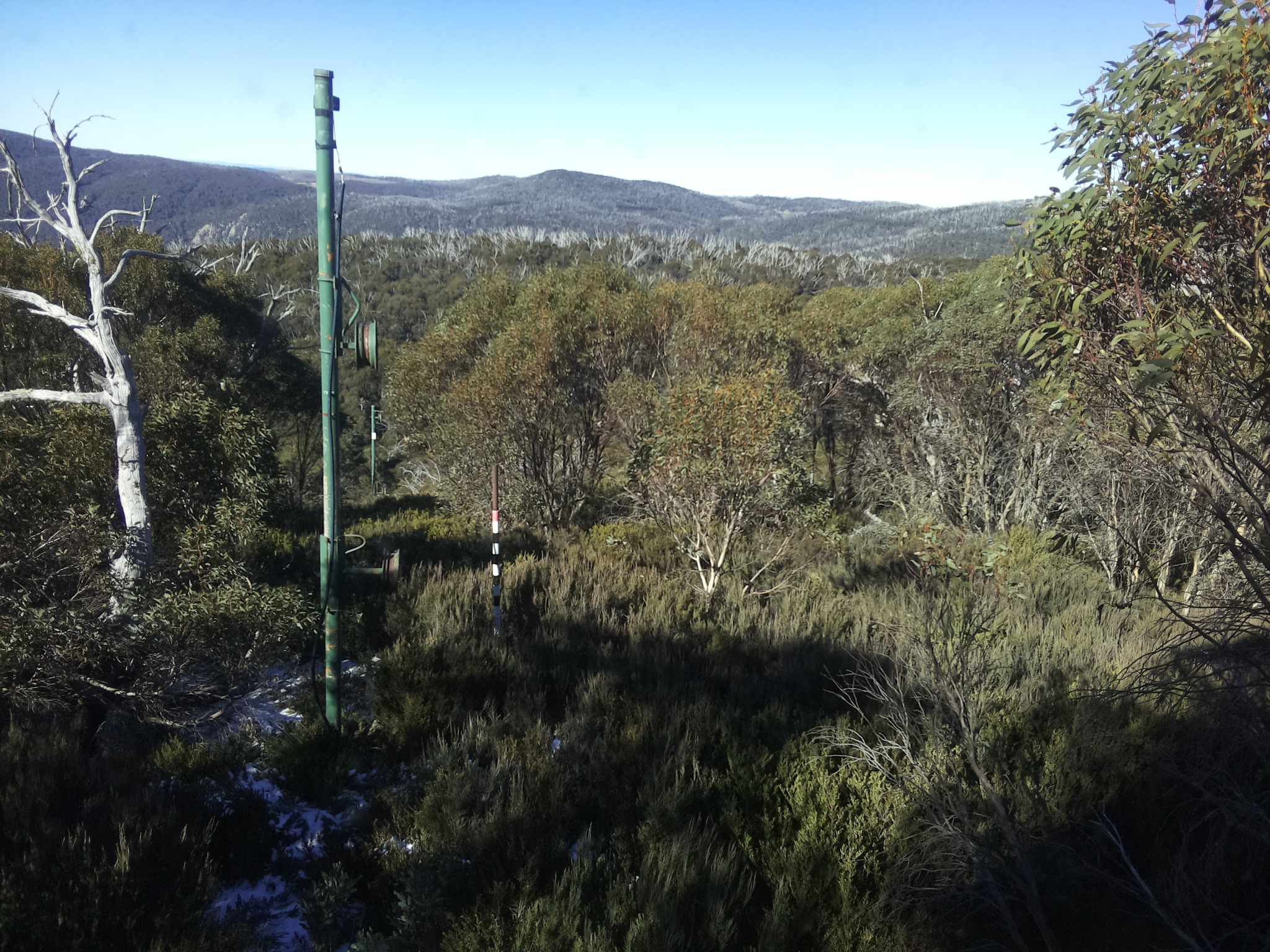 Bogong Web Cam 11:10am Saturday 31st of May 2025