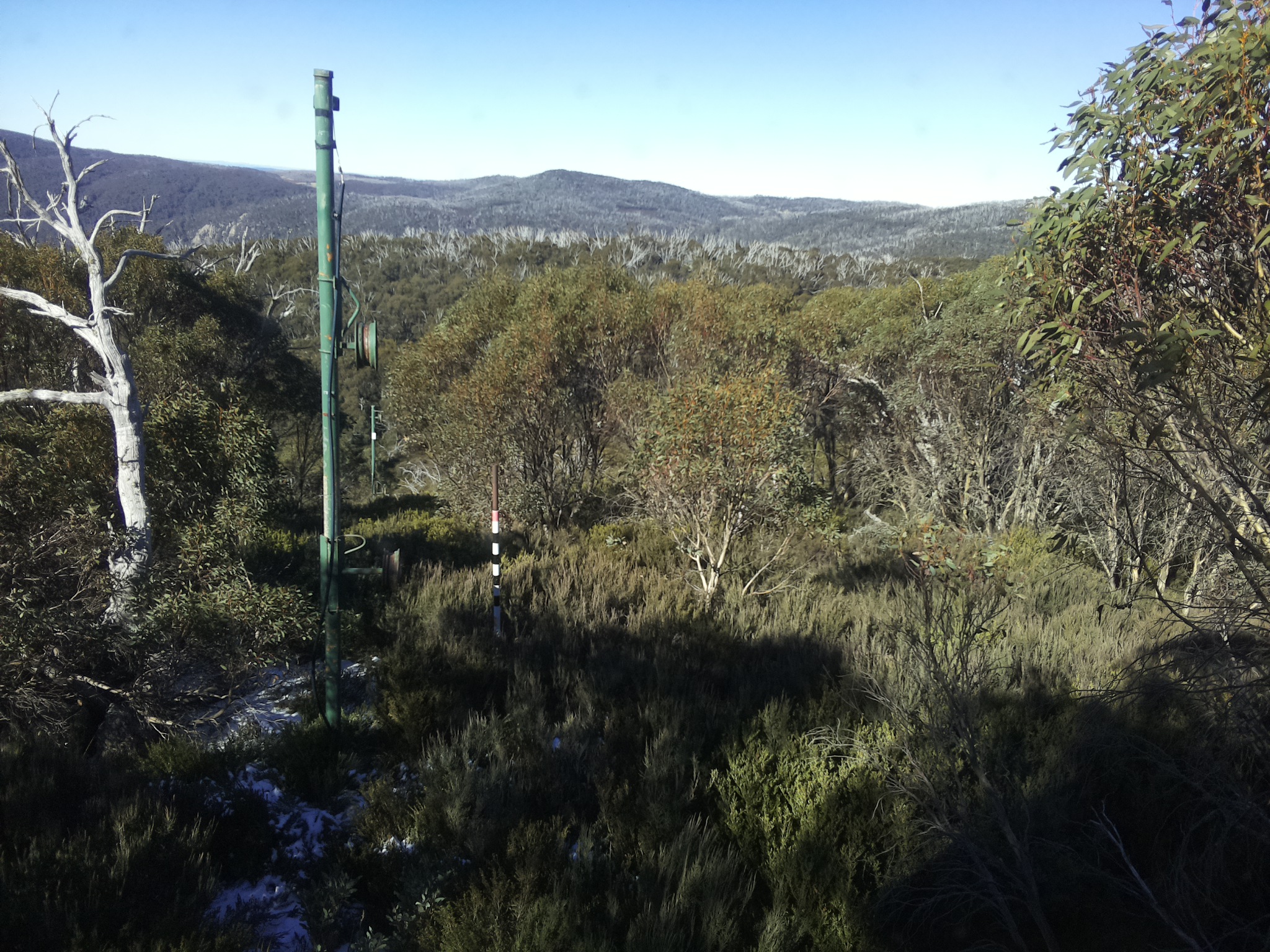 Bogong Web Cam 11:20am Saturday 31st of May 2025