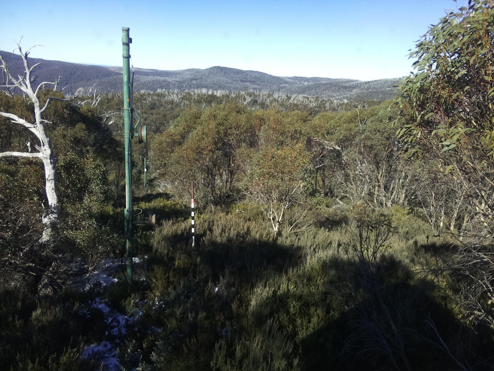 Bogong Web Cam 11:40am Saturday 31st of May 2025