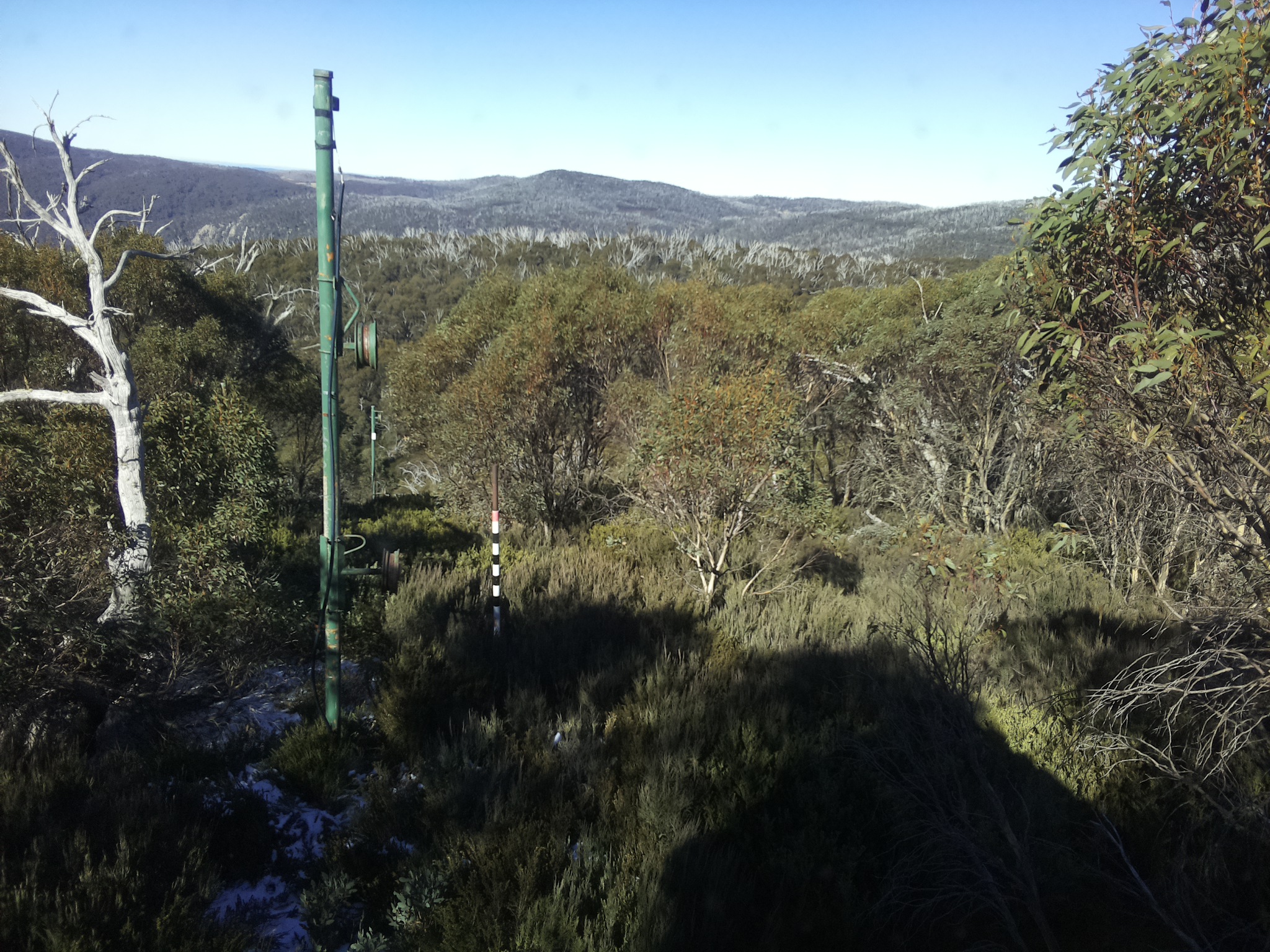 Bogong Web Cam 12:00pm Saturday 31st of May 2025