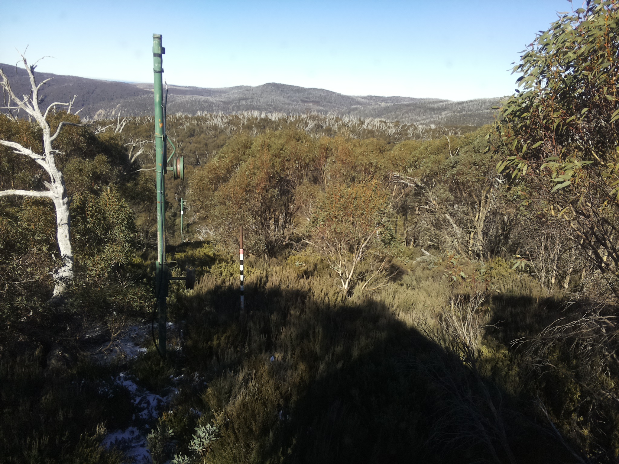 Bogong Web Cam 12:20pm Saturday 31st of May 2025