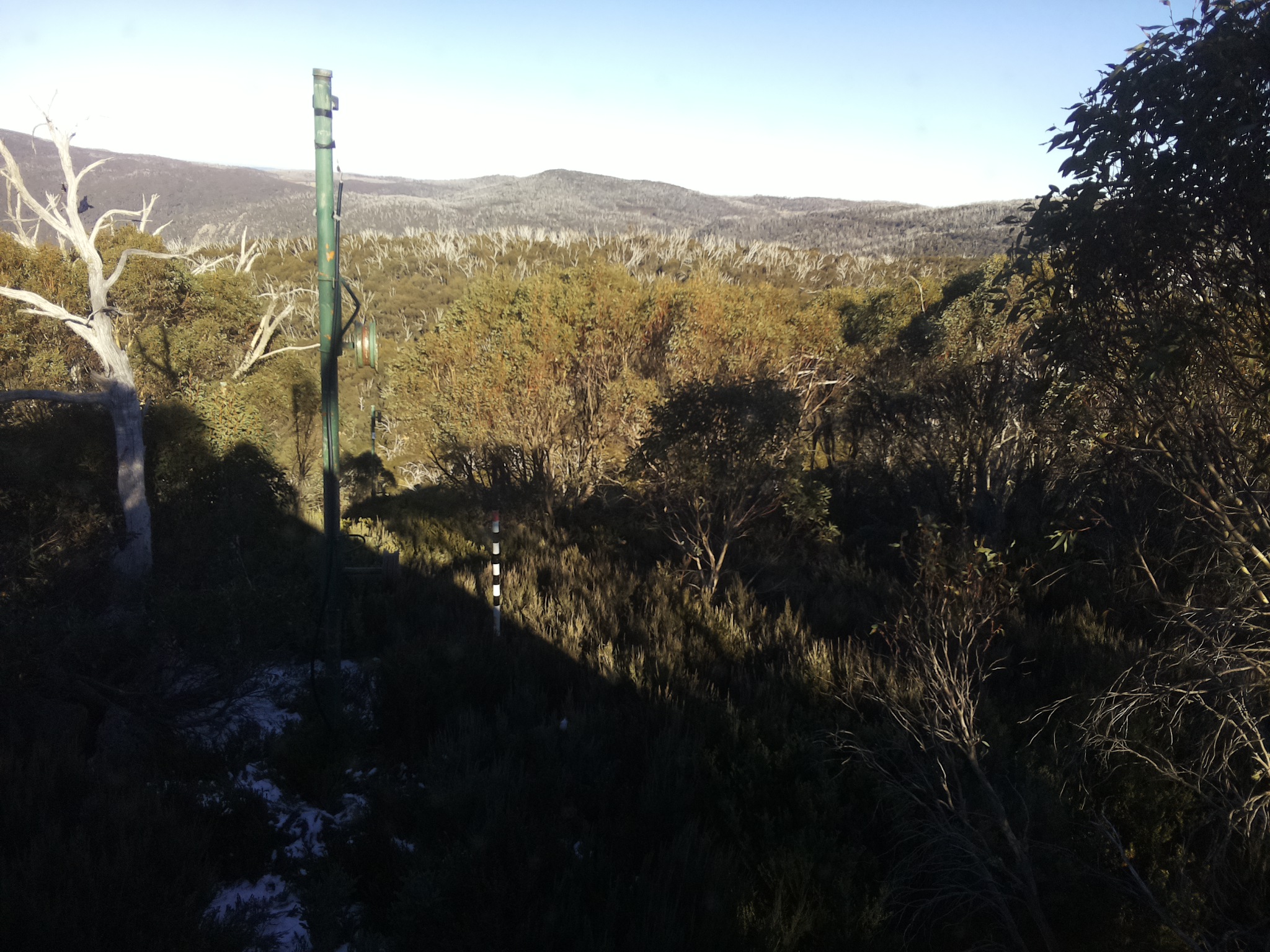 Bogong Web Cam 2:50pm Saturday 31st of May 2025
