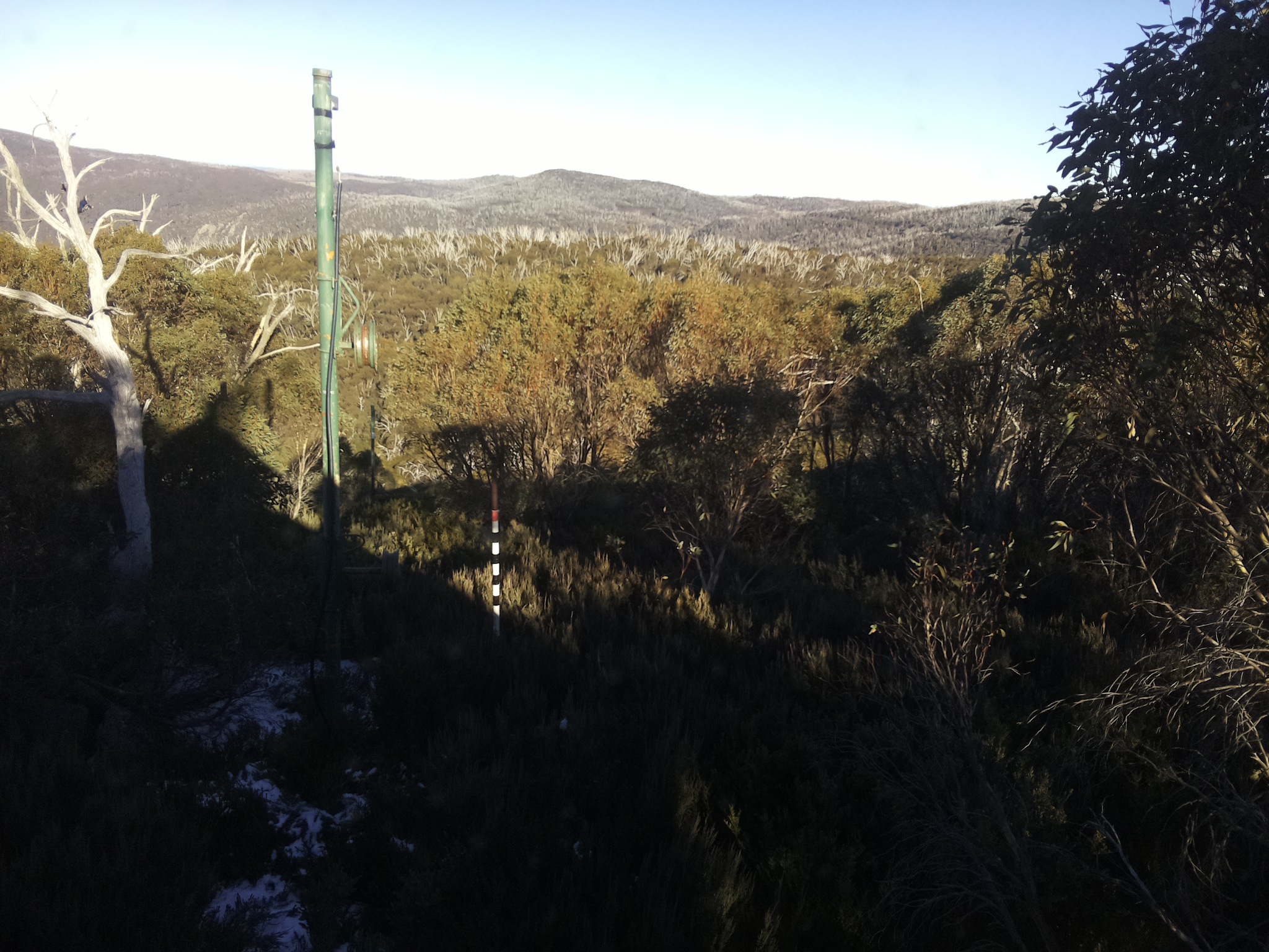 Bogong Web Cam 3:00pm Saturday 31st of May 2025