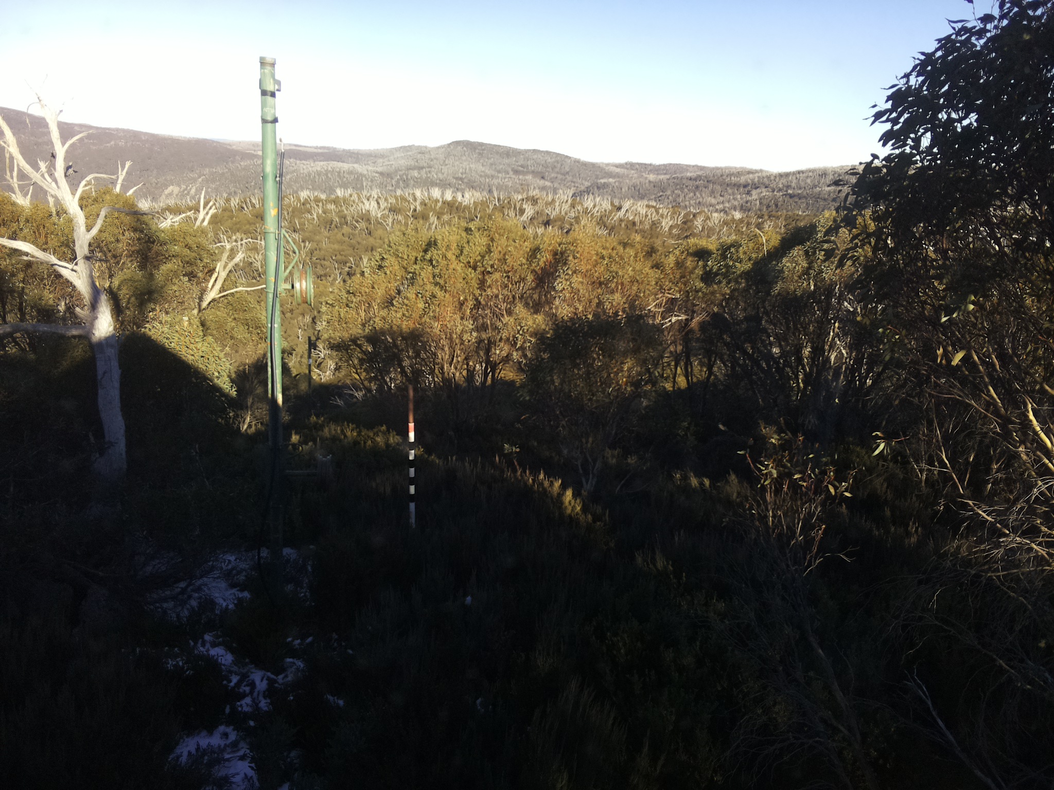 Bogong Web Cam 3:10pm Saturday 31st of May 2025