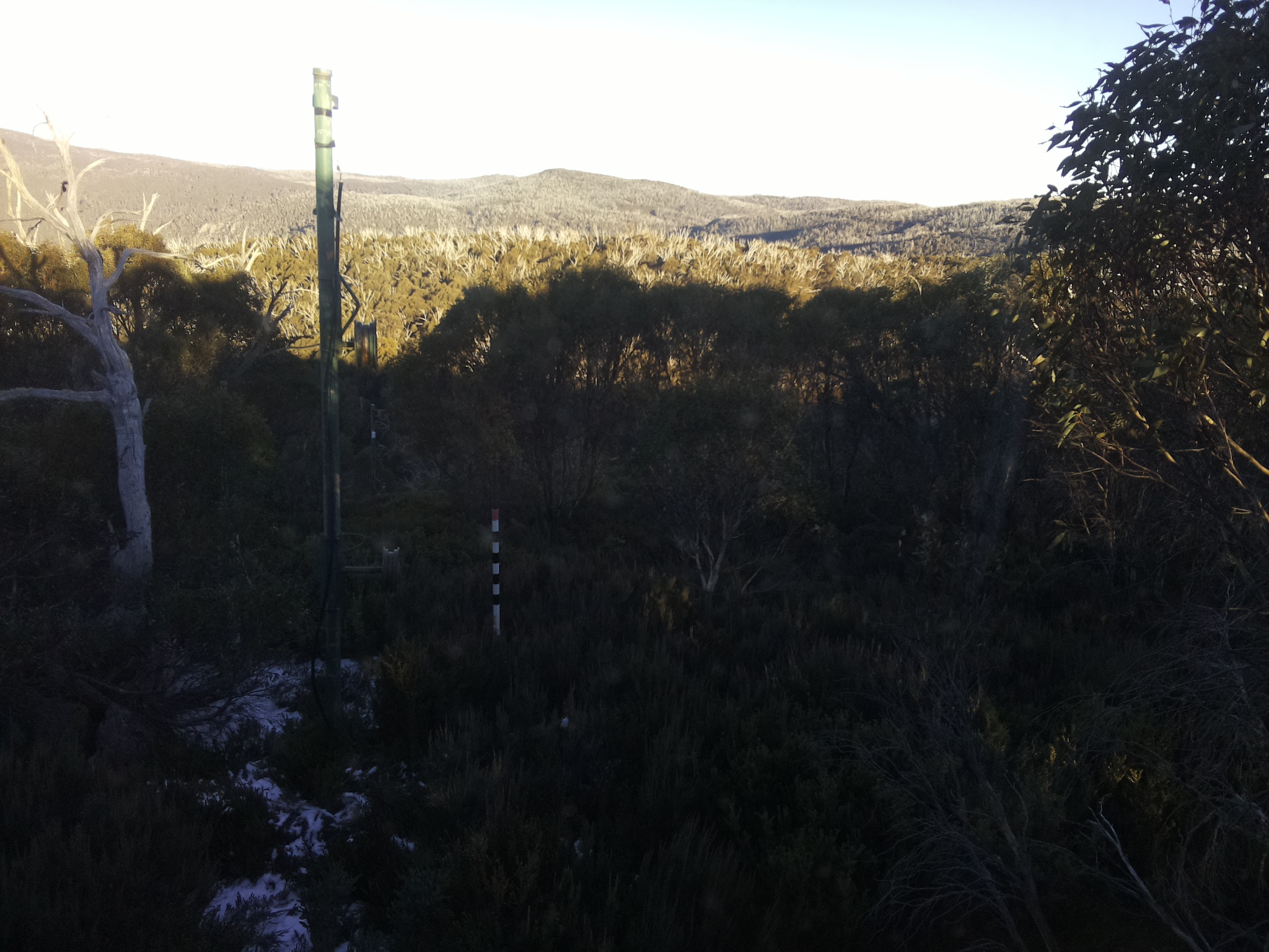 Bogong Web Cam 4:00pm Saturday 31st of May 2025