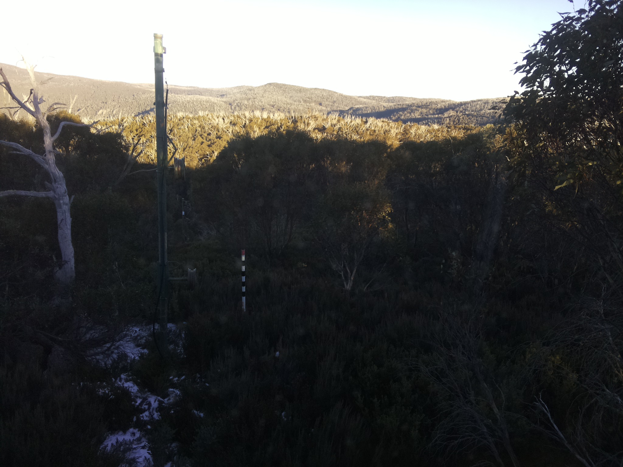 Bogong Web Cam 4:10pm Saturday 31st of May 2025