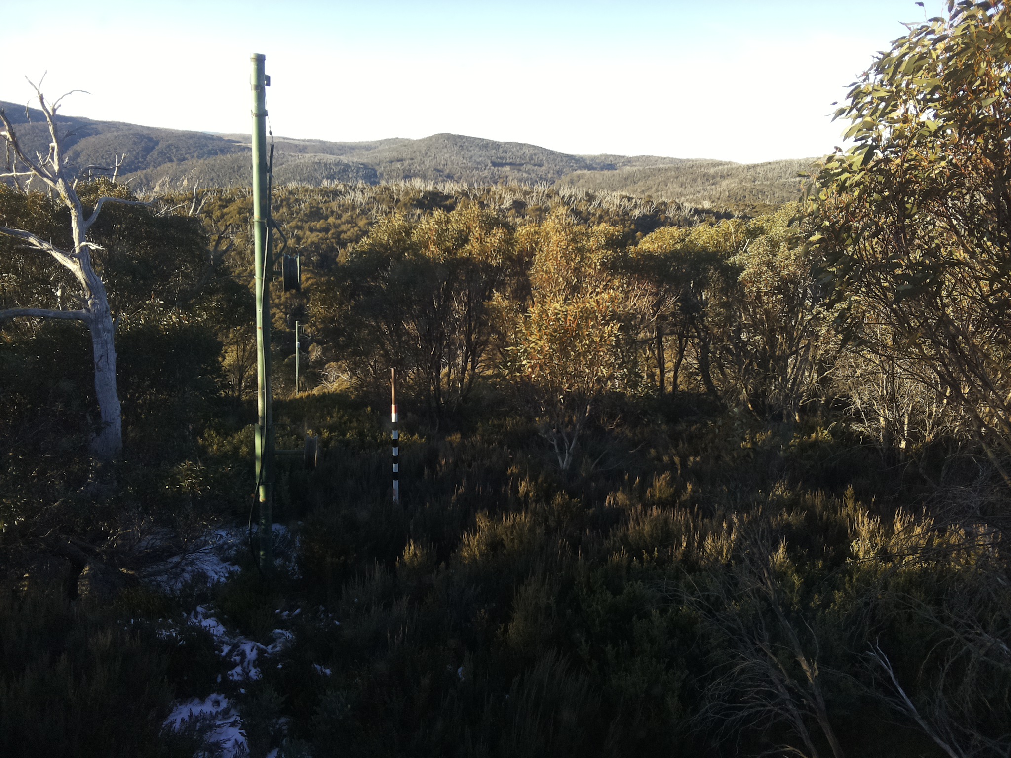Bogong Web Cam 8:10am Sunday 1st of June 2025