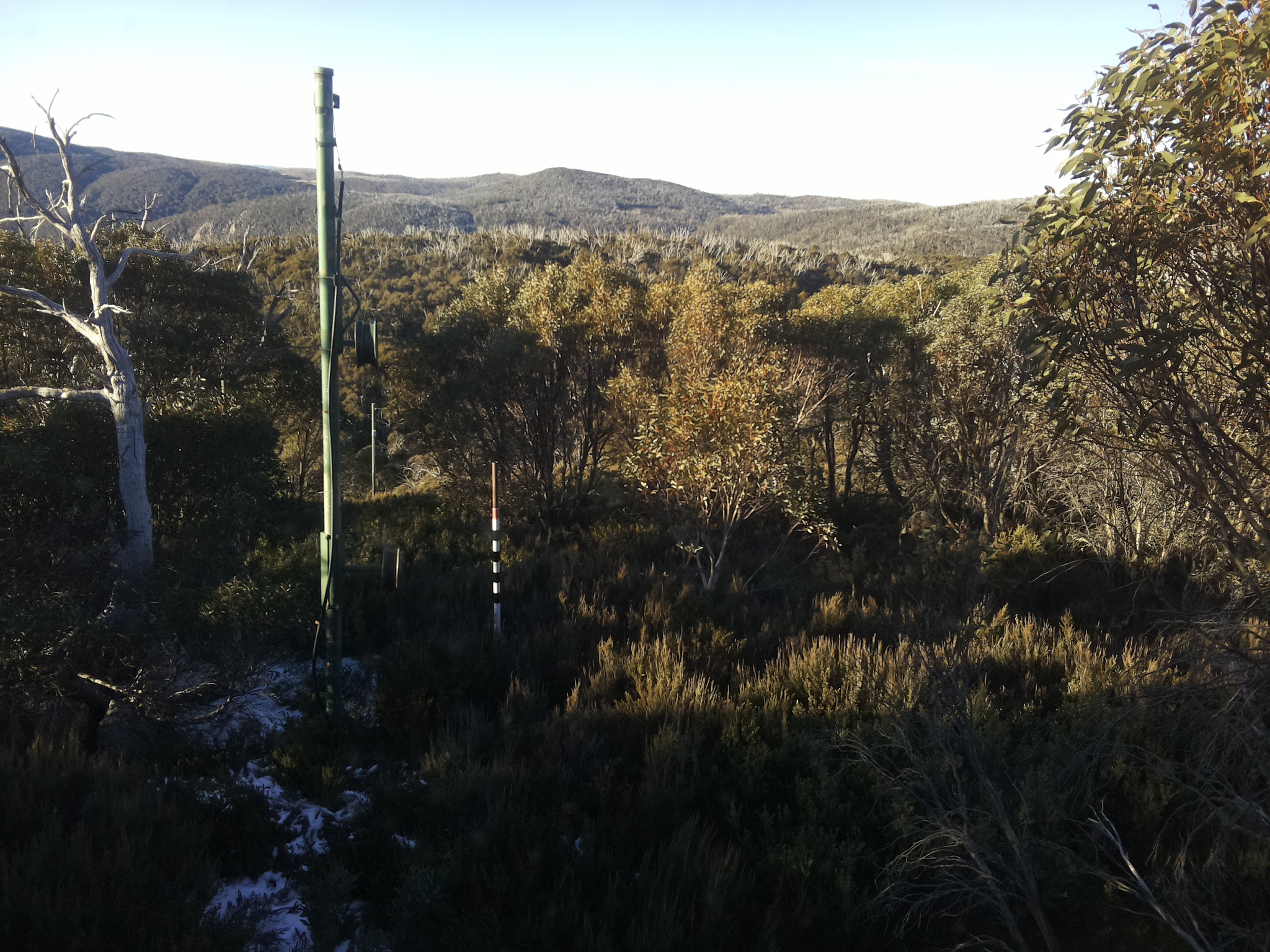 Bogong Web Cam 8:20am Sunday 1st of June 2025