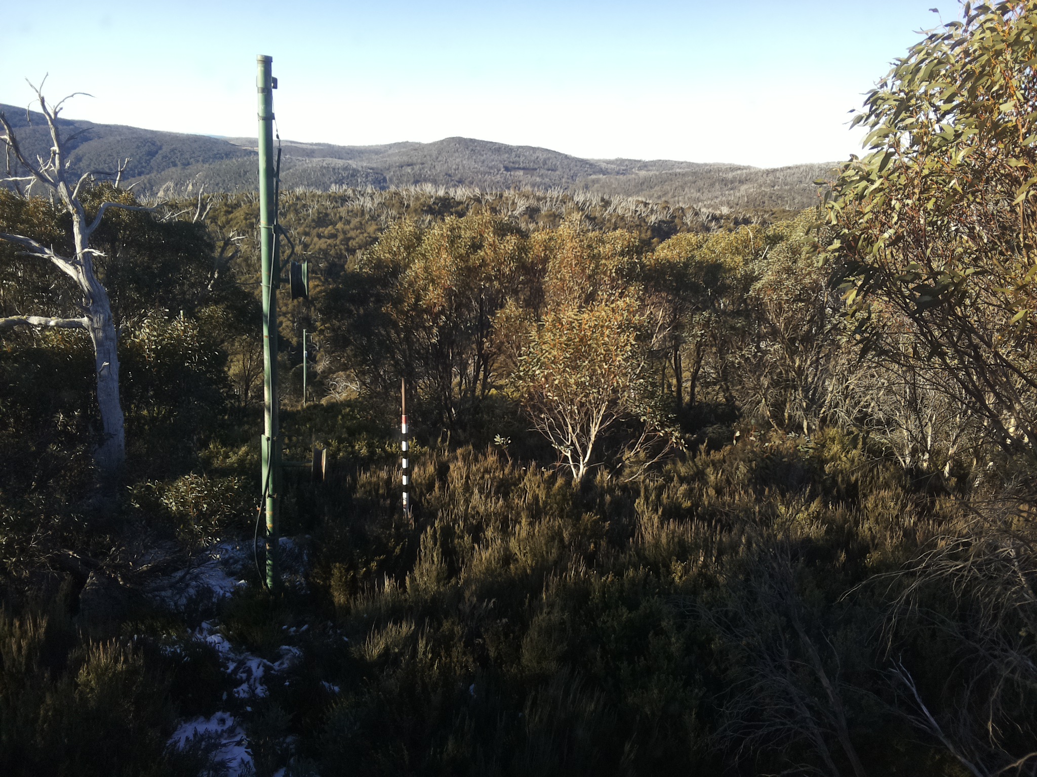 Bogong Web Cam 8:40am Sunday 1st of June 2025
