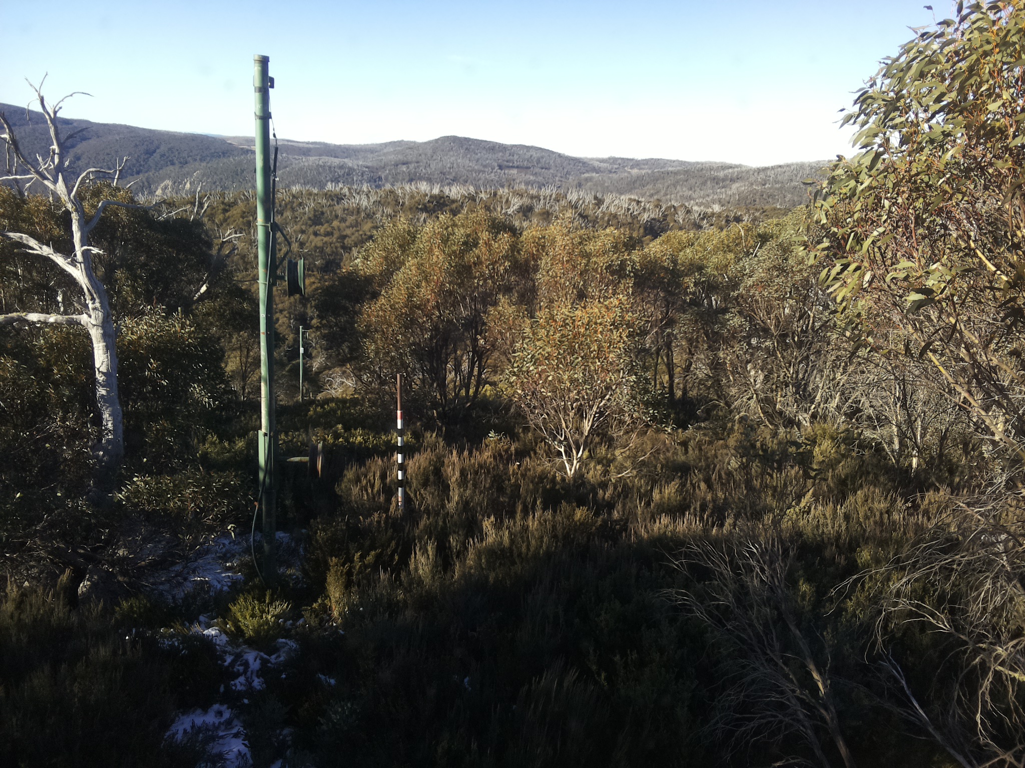 Bogong Web Cam 9:10am Sunday 1st of June 2025