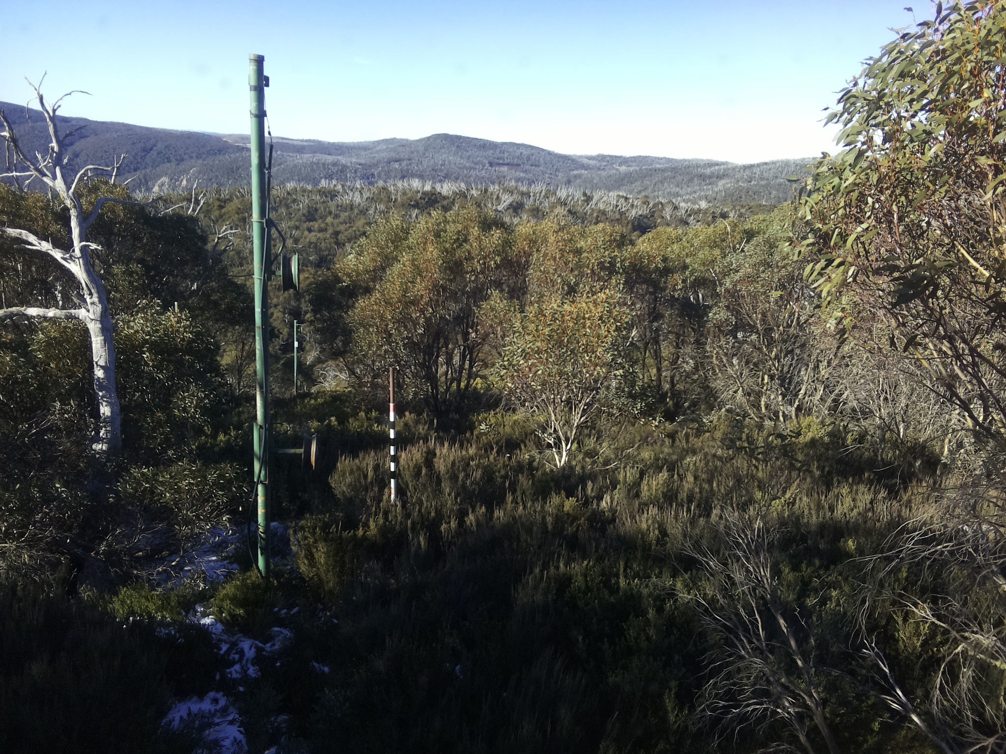 Bogong Web Cam 9:30am Sunday 1st of June 2025