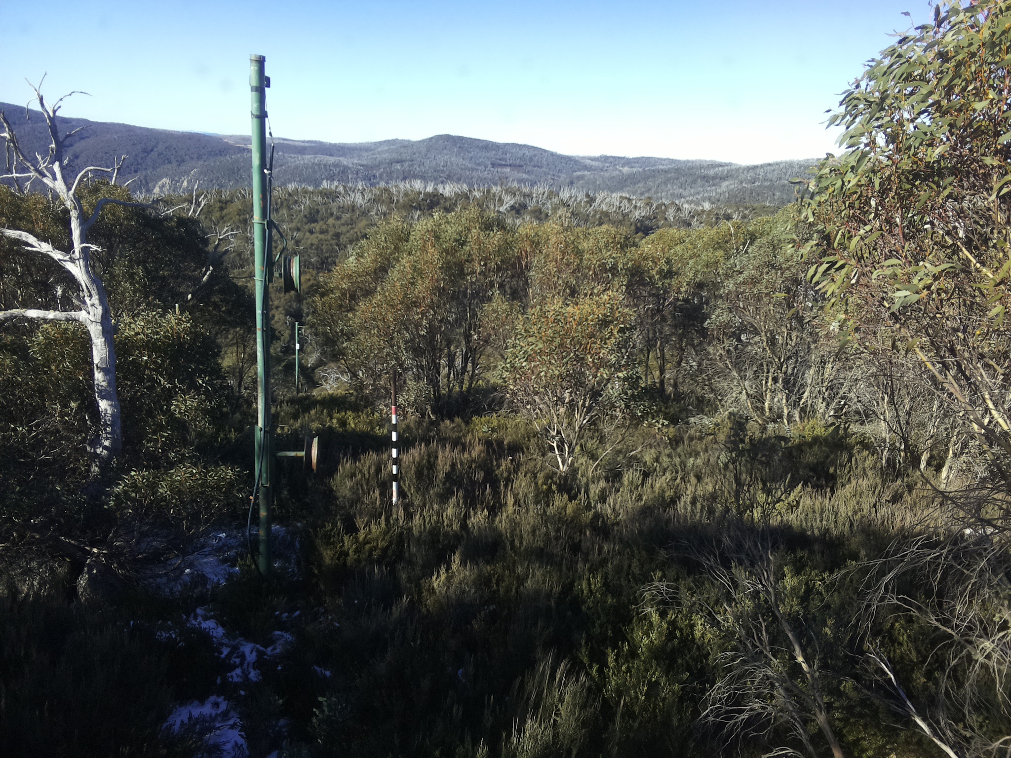 Bogong Web Cam 10:00am Sunday 1st of June 2025