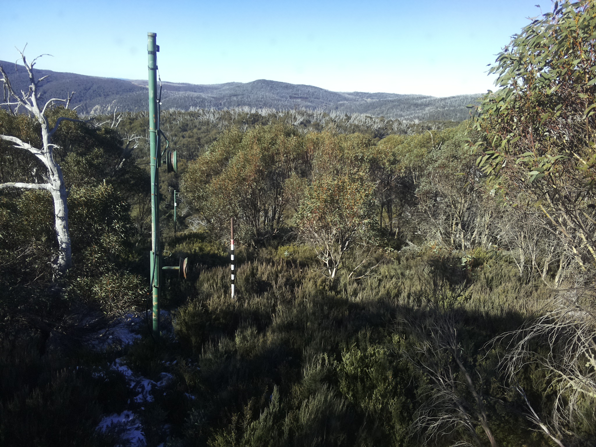 Bogong Web Cam 10:20am Sunday 1st of June 2025