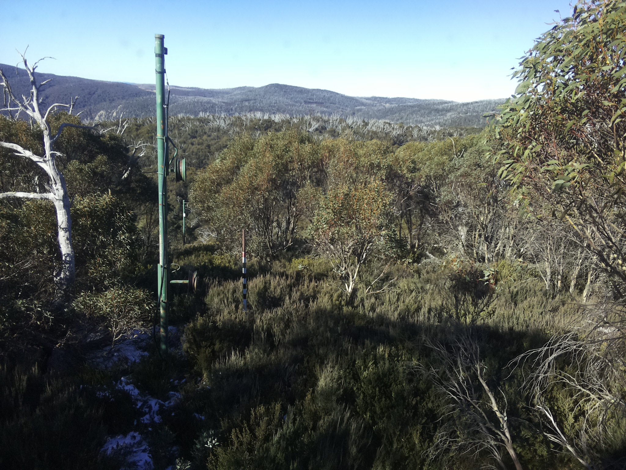 Bogong Web Cam 10:30am Sunday 1st of June 2025