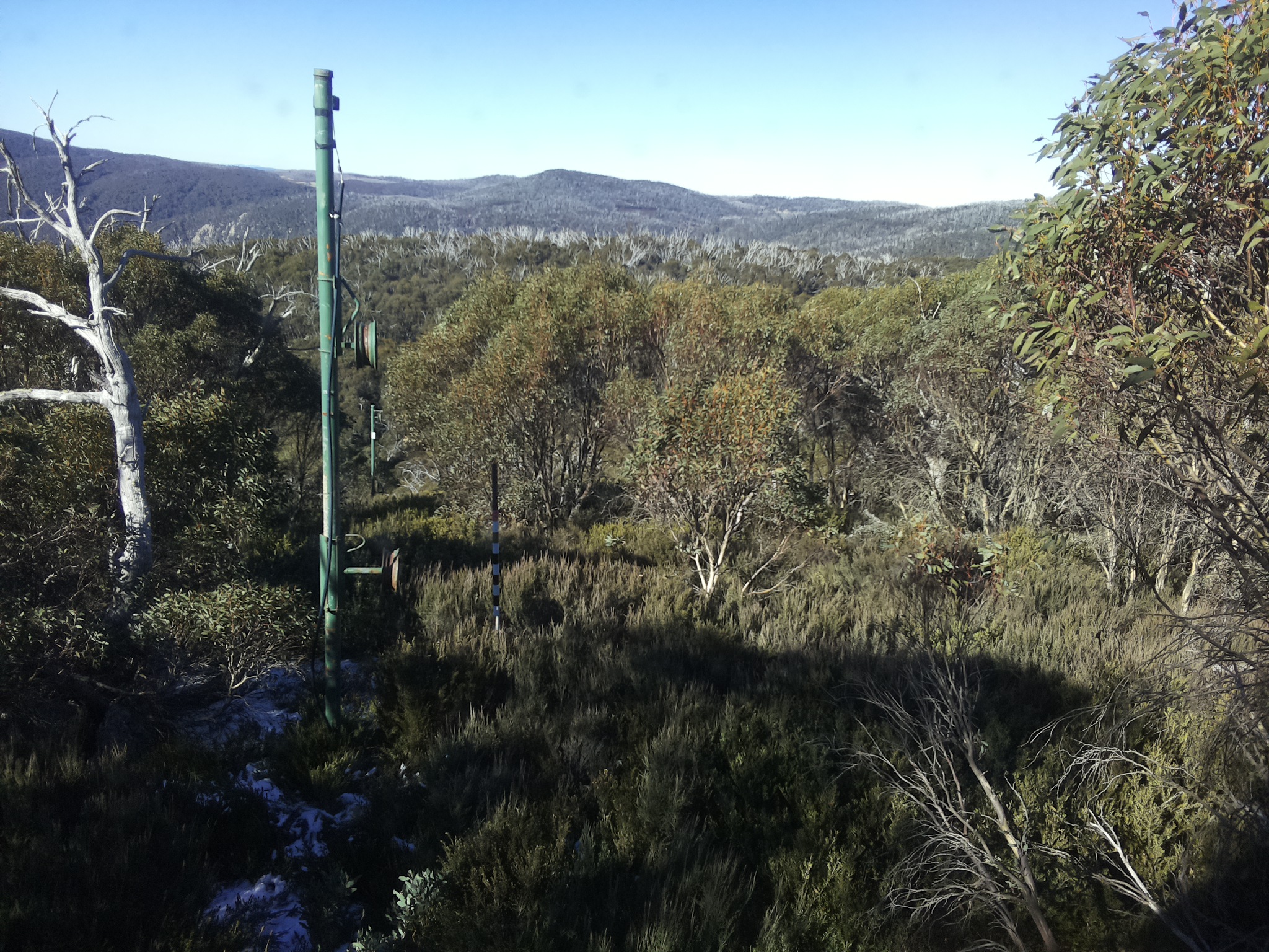 Bogong Web Cam 10:40am Sunday 1st of June 2025