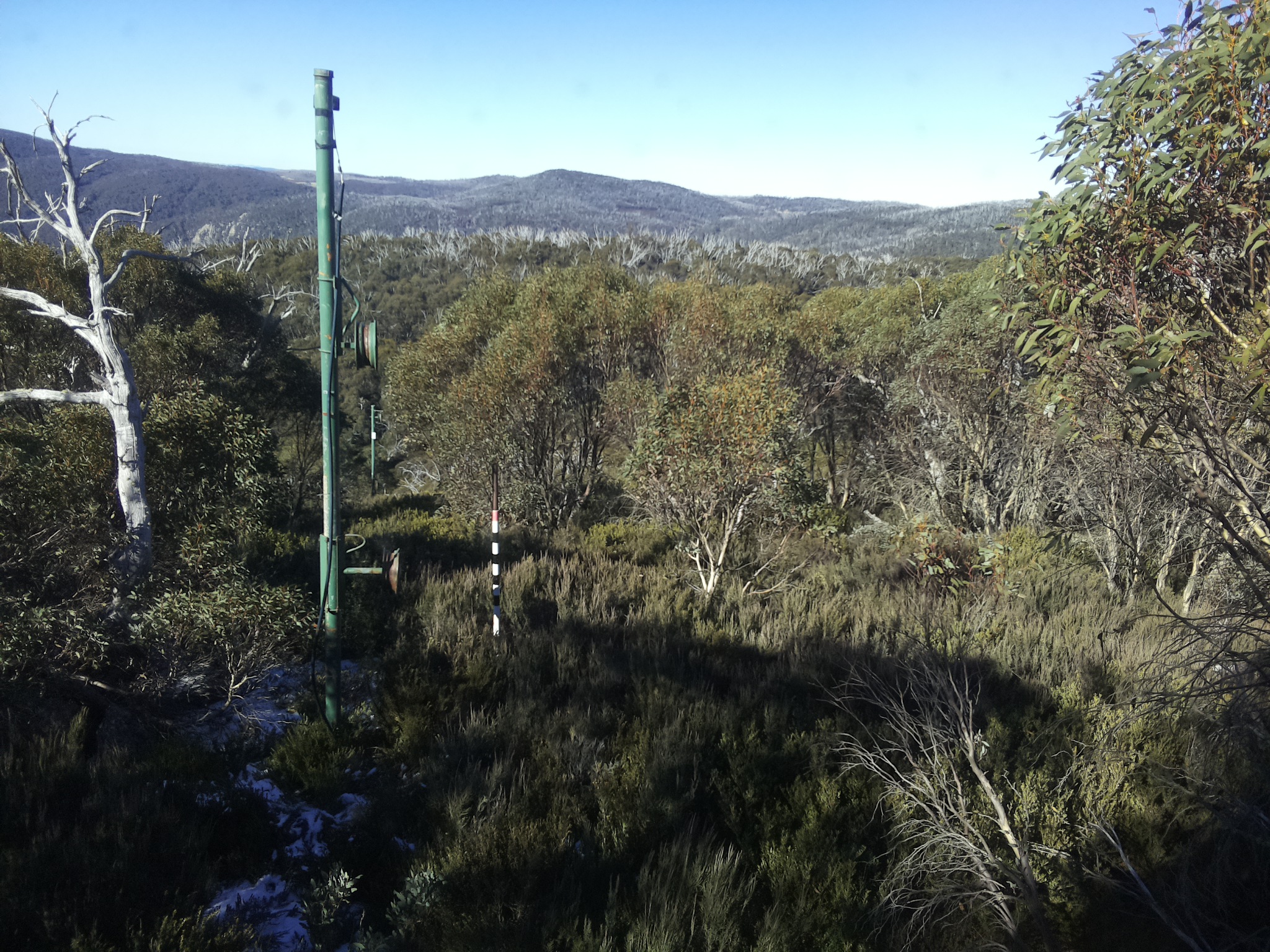 Bogong Web Cam 10:50am Sunday 1st of June 2025