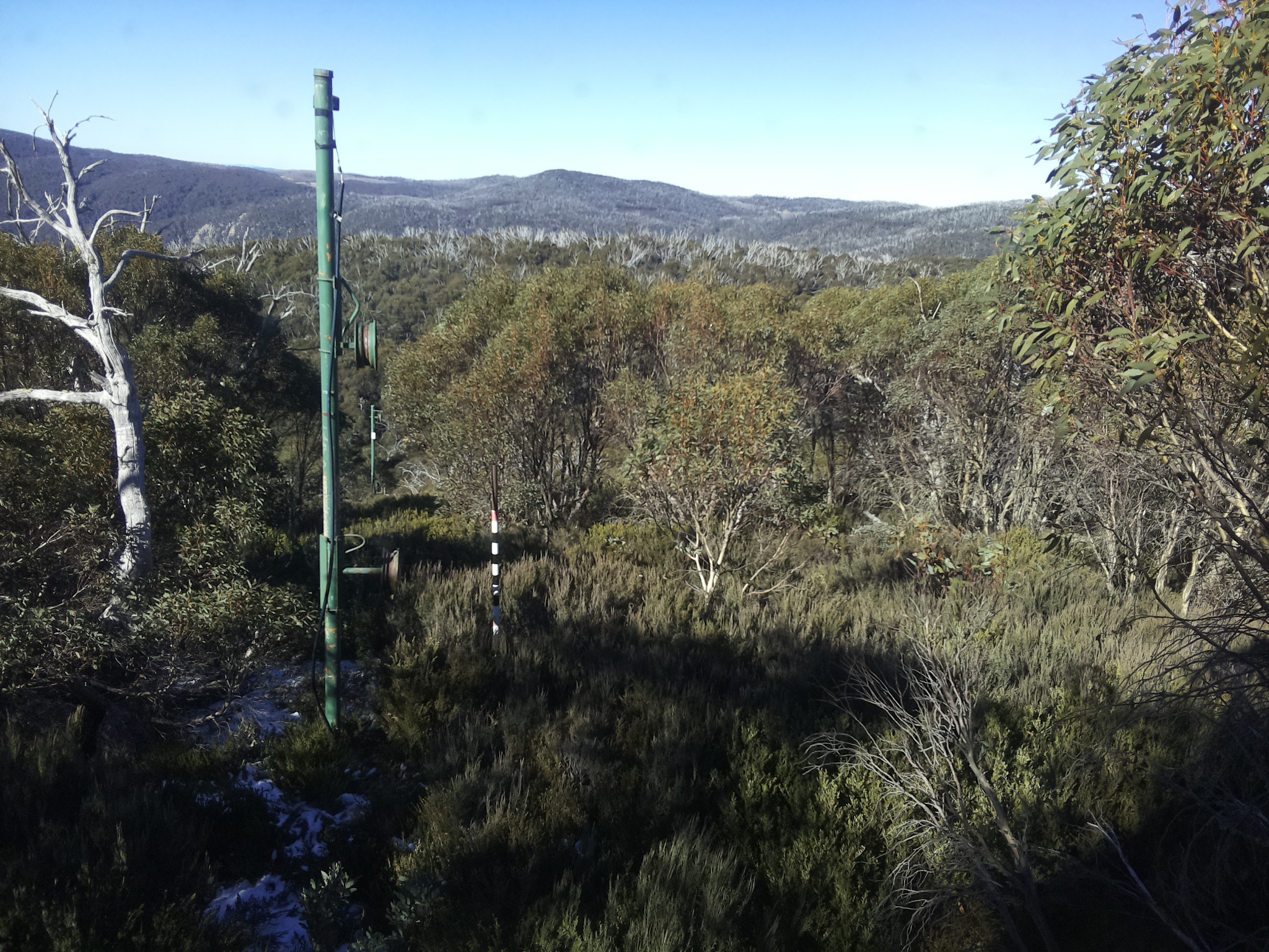 Bogong Web Cam 11:00am Sunday 1st of June 2025