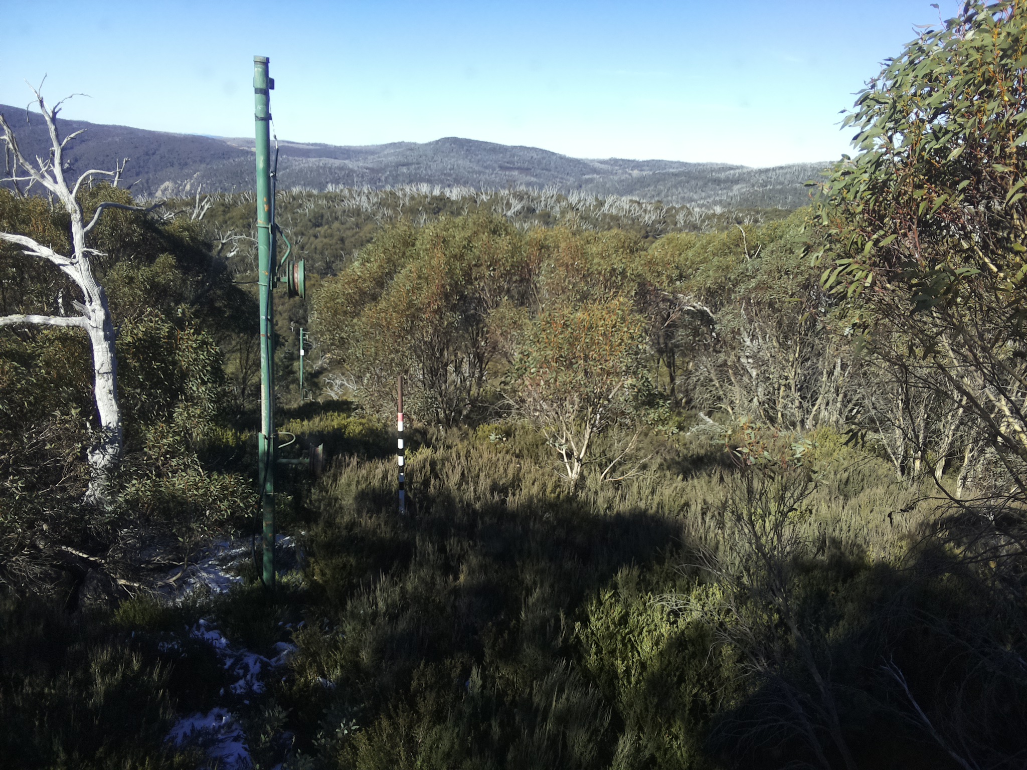 Bogong Web Cam 11:20am Sunday 1st of June 2025