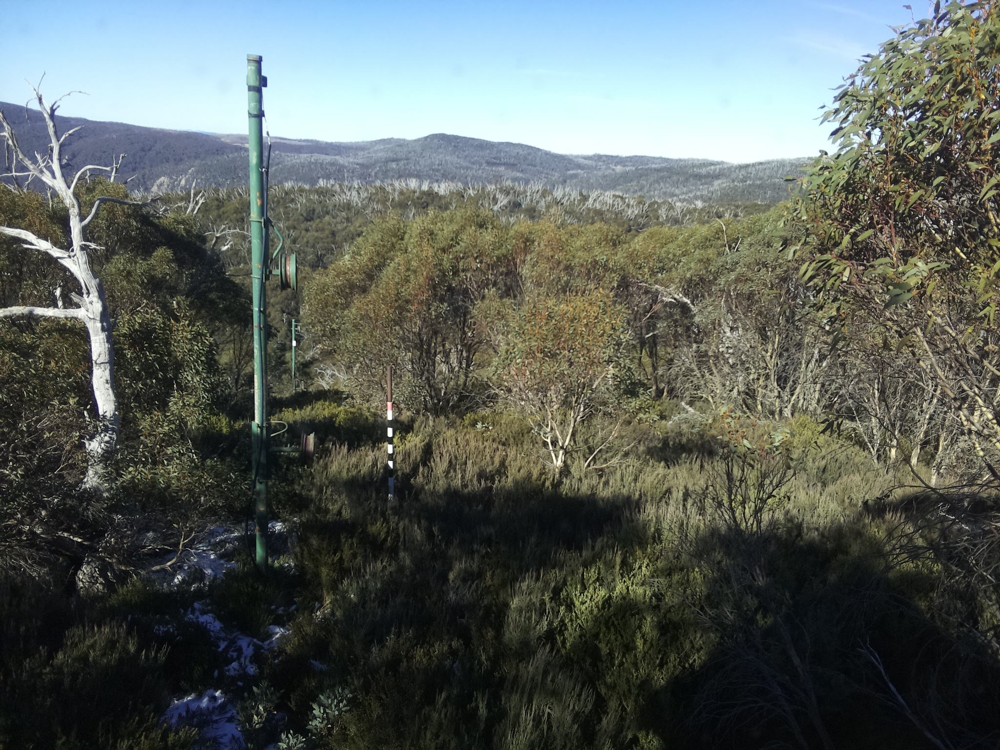 Bogong Web Cam 11:30am Sunday 1st of June 2025
