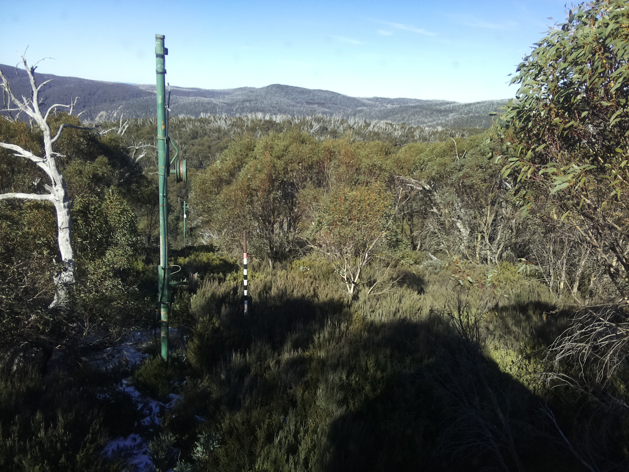 Bogong Web Cam 12:00pm Sunday 1st of June 2025