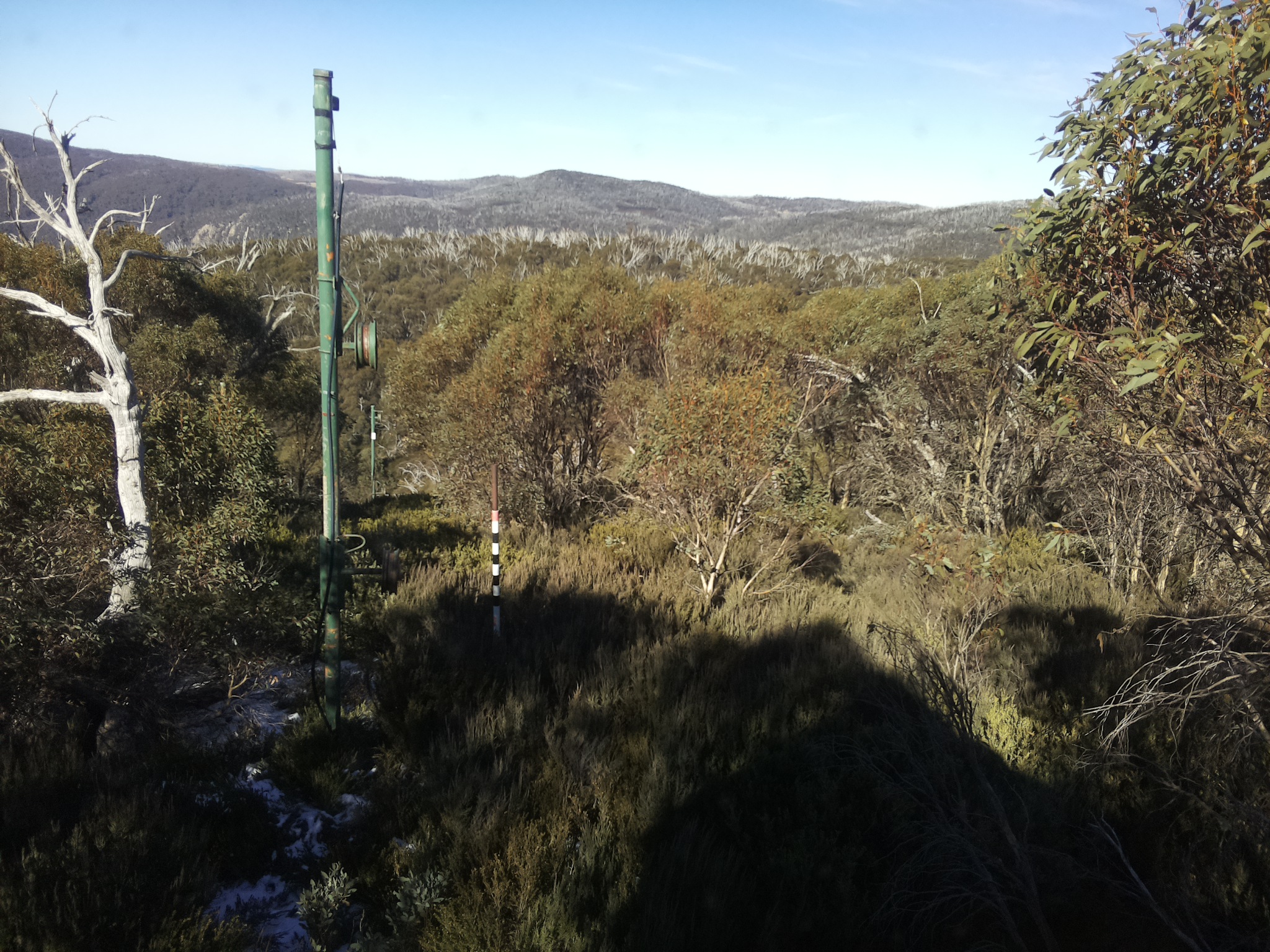 Bogong Web Cam 12:10pm Sunday 1st of June 2025