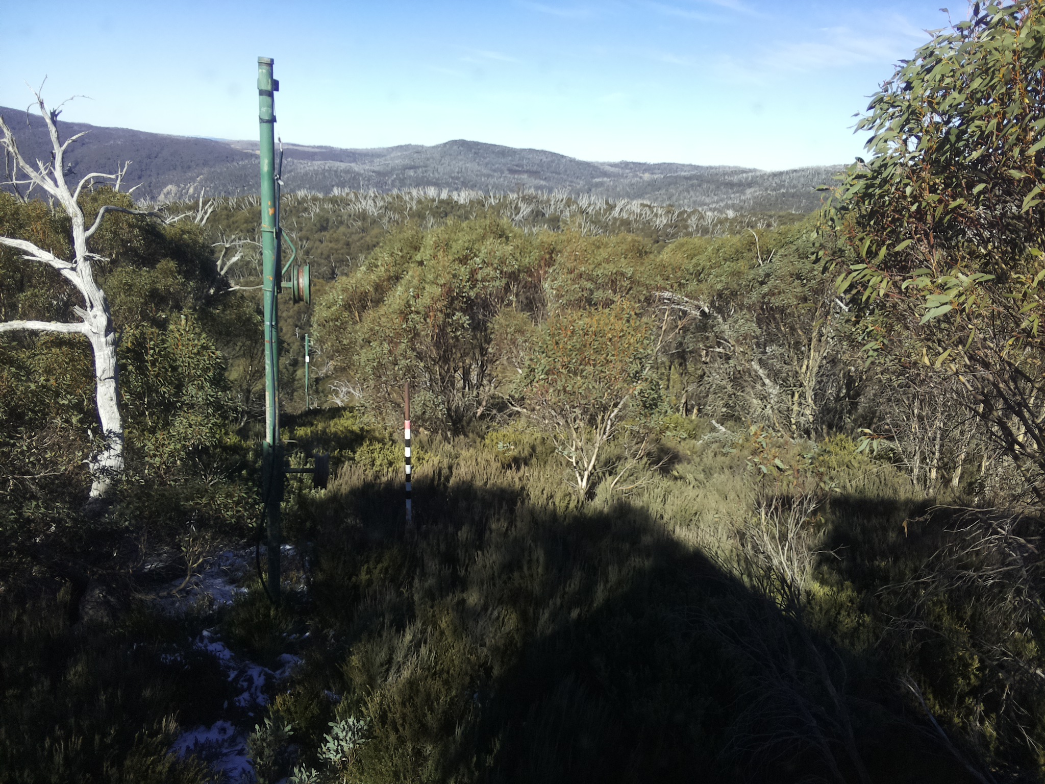Bogong Web Cam 12:20pm Sunday 1st of June 2025