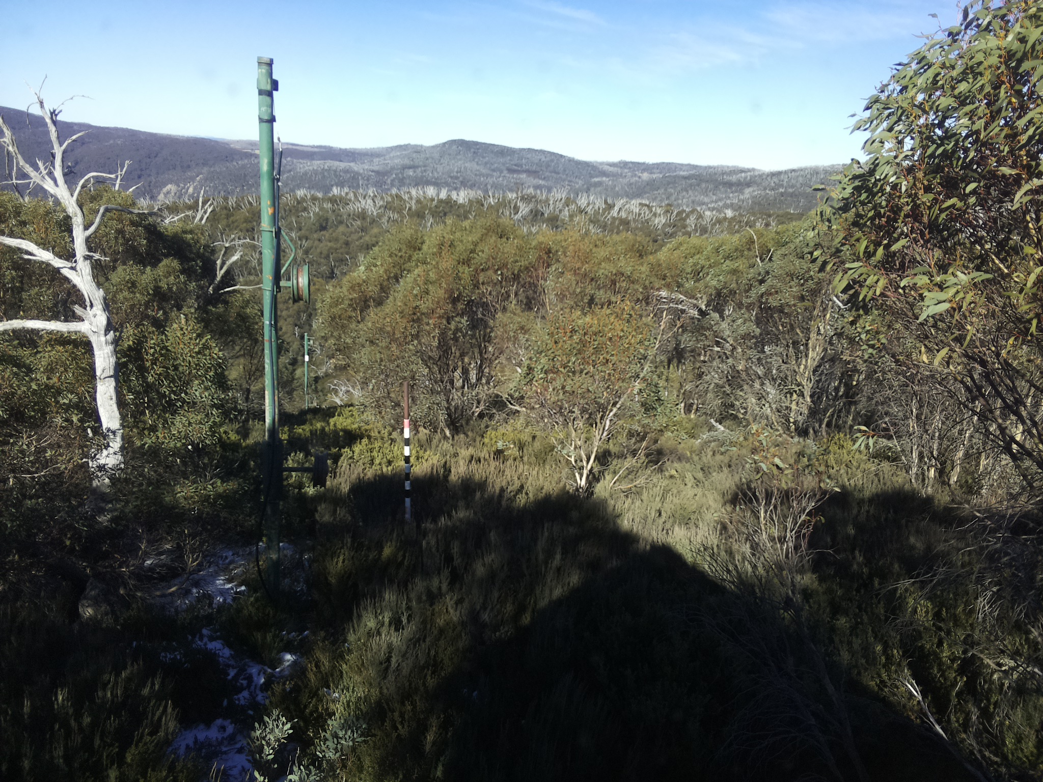 Bogong Web Cam 12:30pm Sunday 1st of June 2025