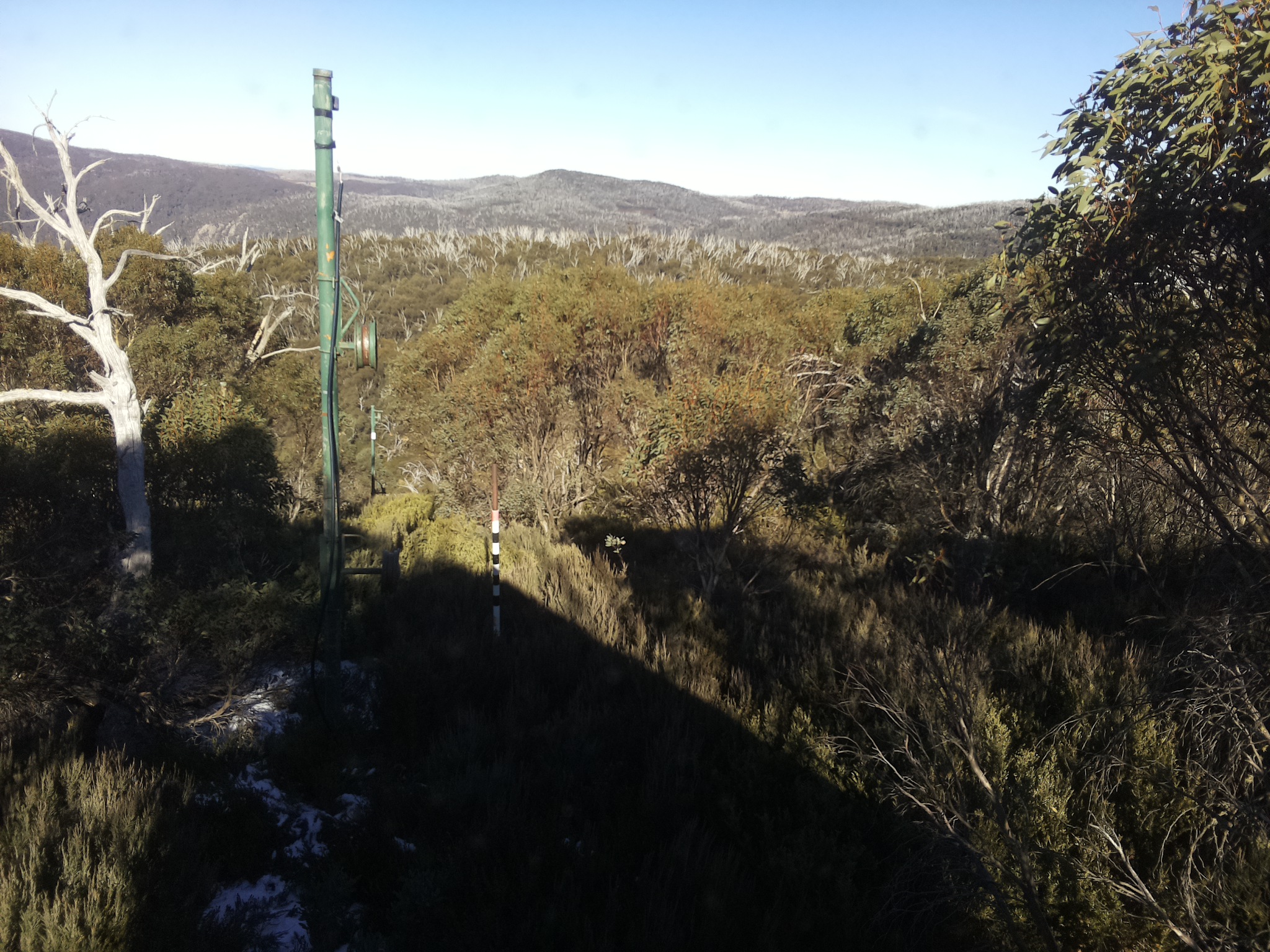 Bogong Web Cam 2:00pm Sunday 1st of June 2025