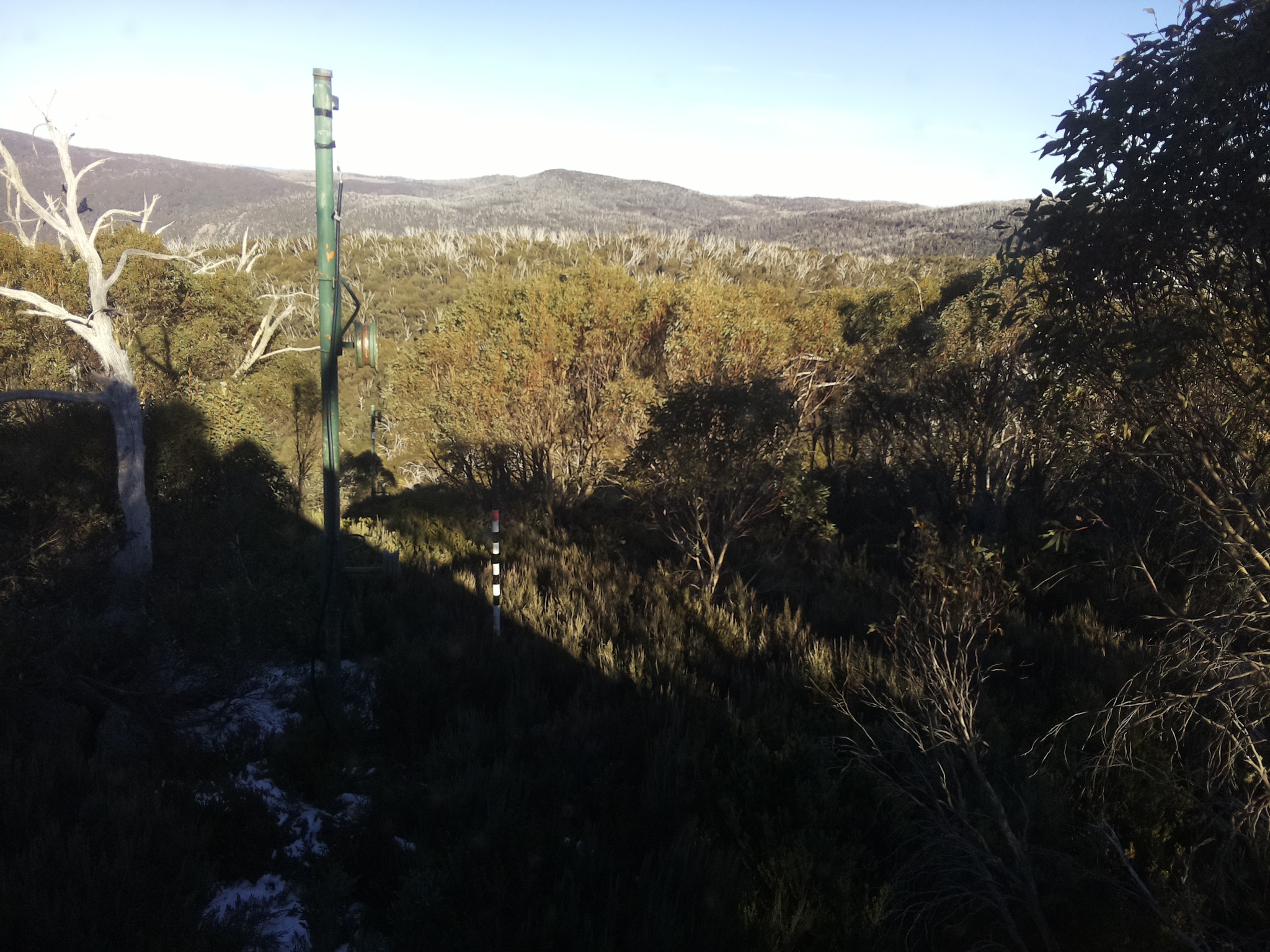 Bogong Web Cam 2:50pm Sunday 1st of June 2025