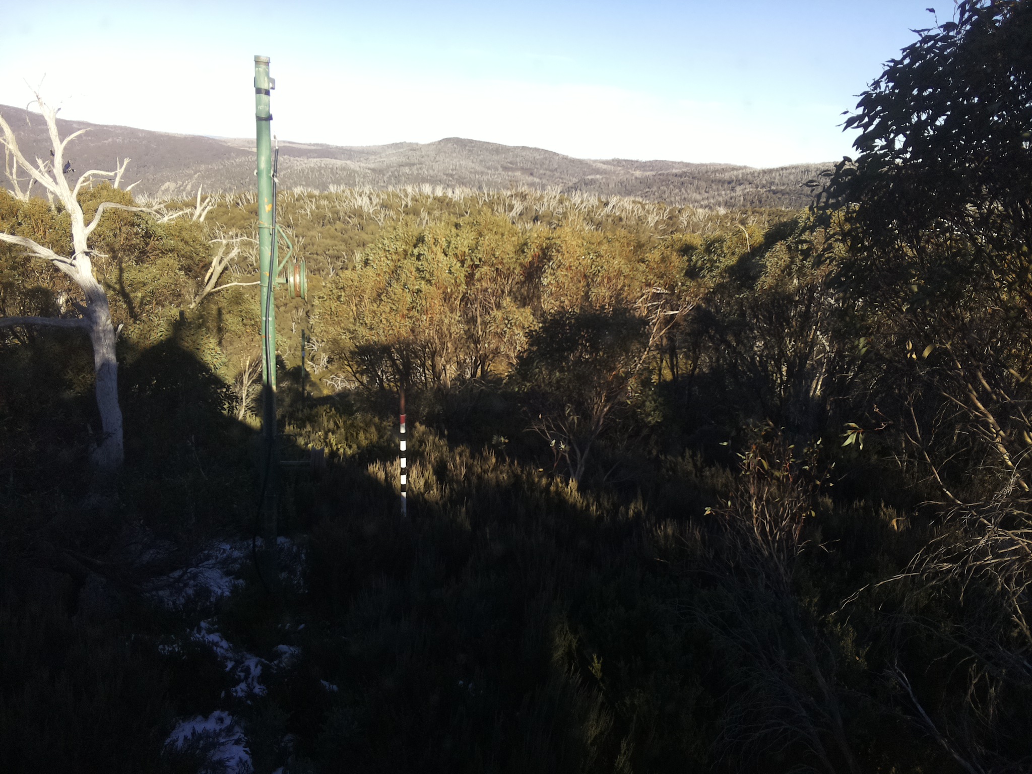 Bogong Web Cam 3:00pm Sunday 1st of June 2025