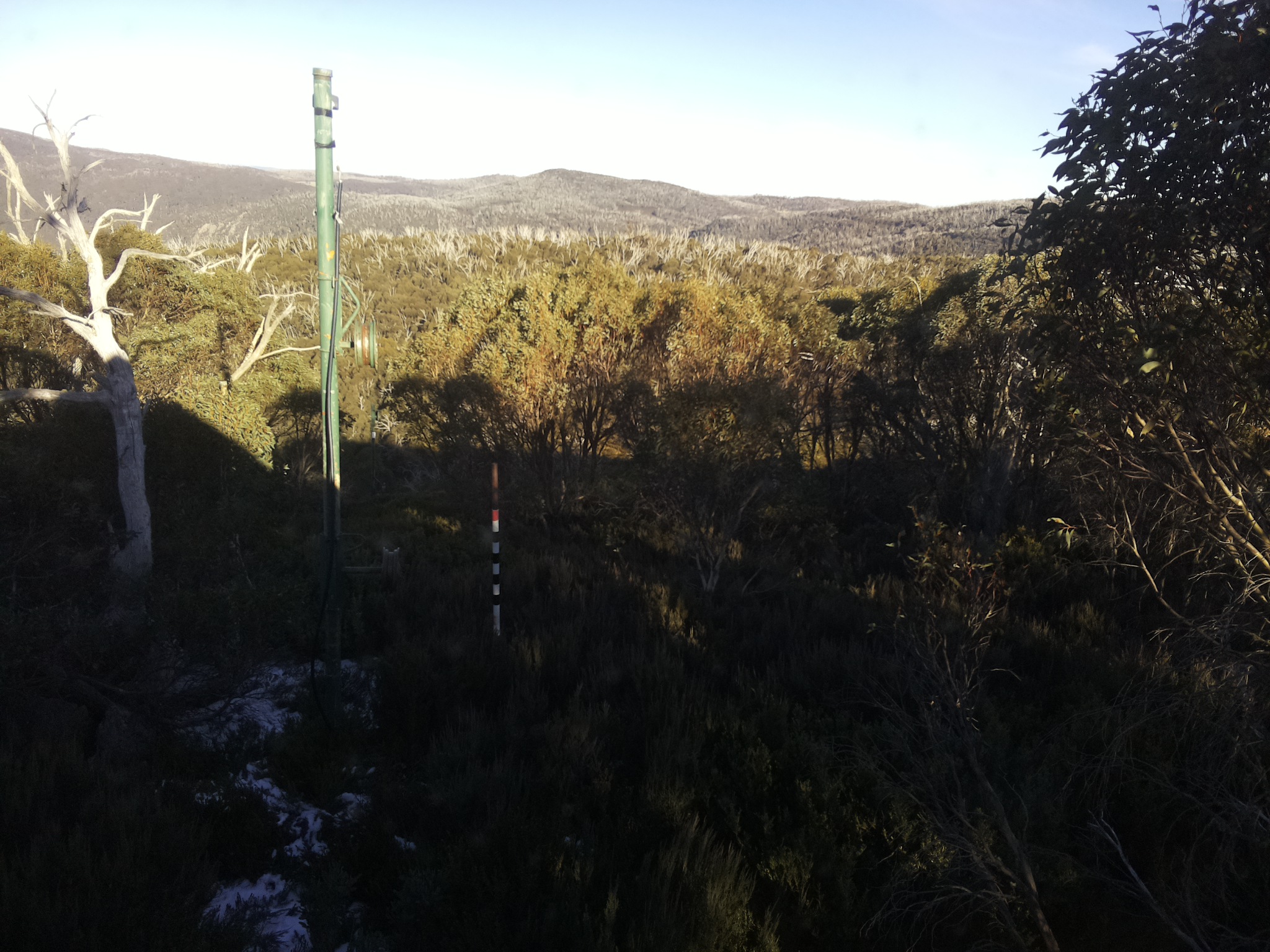 Bogong Web Cam 3:20pm Sunday 1st of June 2025