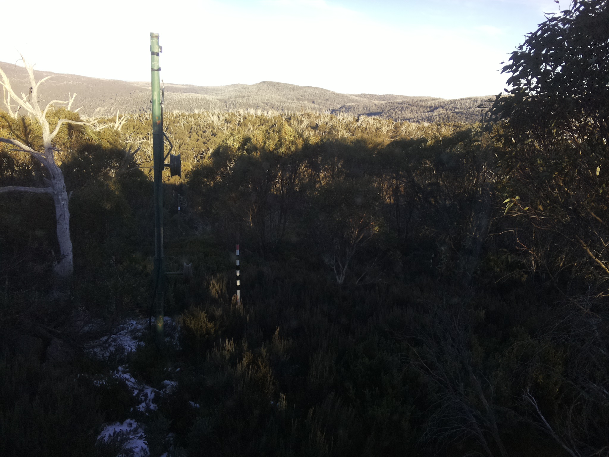 Bogong Web Cam 3:50pm Sunday 1st of June 2025