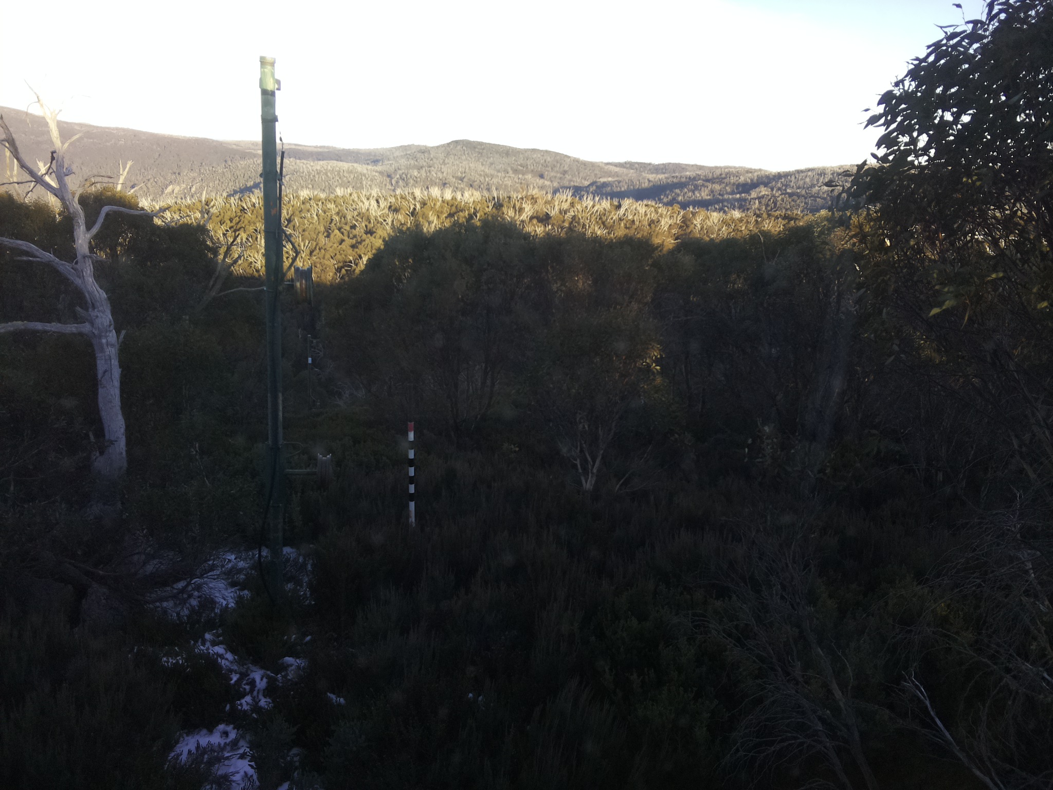 Bogong Web Cam 4:10pm Sunday 1st of June 2025