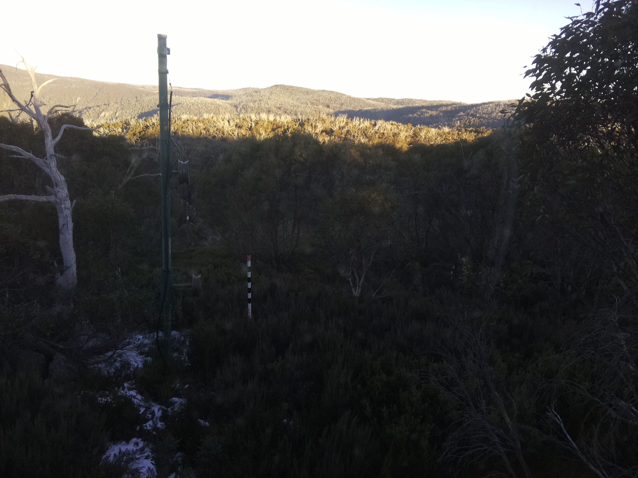 Bogong Web Cam 4:20pm Sunday 1st of June 2025