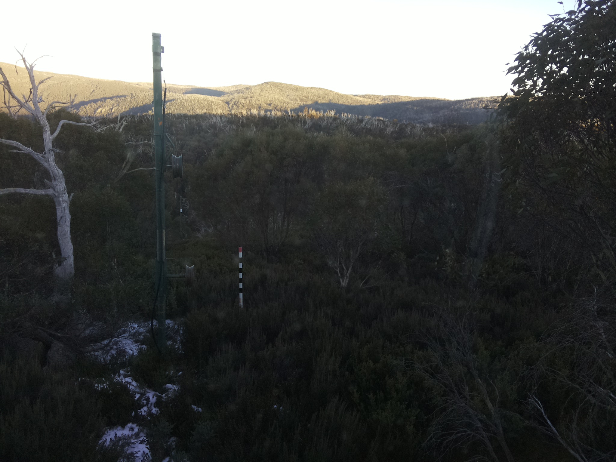 Bogong Web Cam 4:30pm Sunday 1st of June 2025