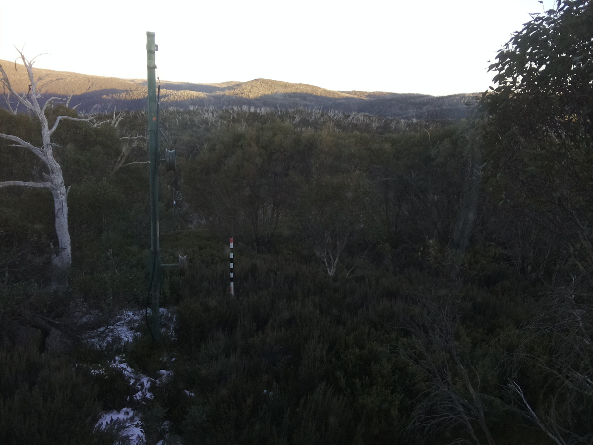 Bogong Web Cam 4:40pm Sunday 1st of June 2025
