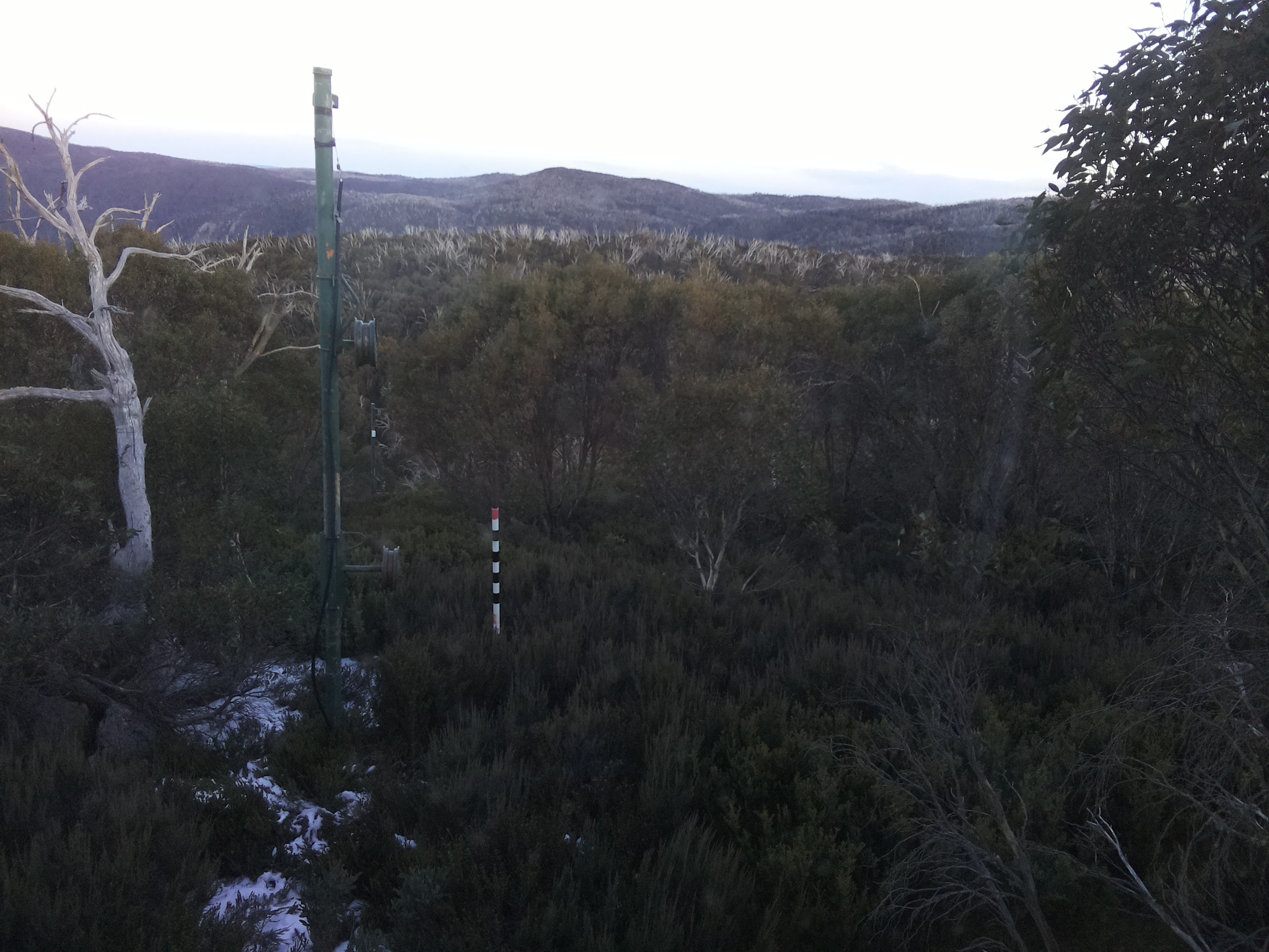 Bogong Web Cam 4:50pm Sunday 1st of June 2025