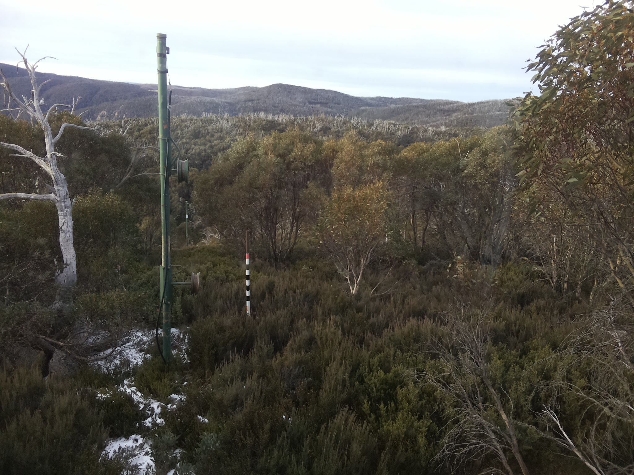 Bogong Web Cam 8:00am Monday 2nd of June 2025