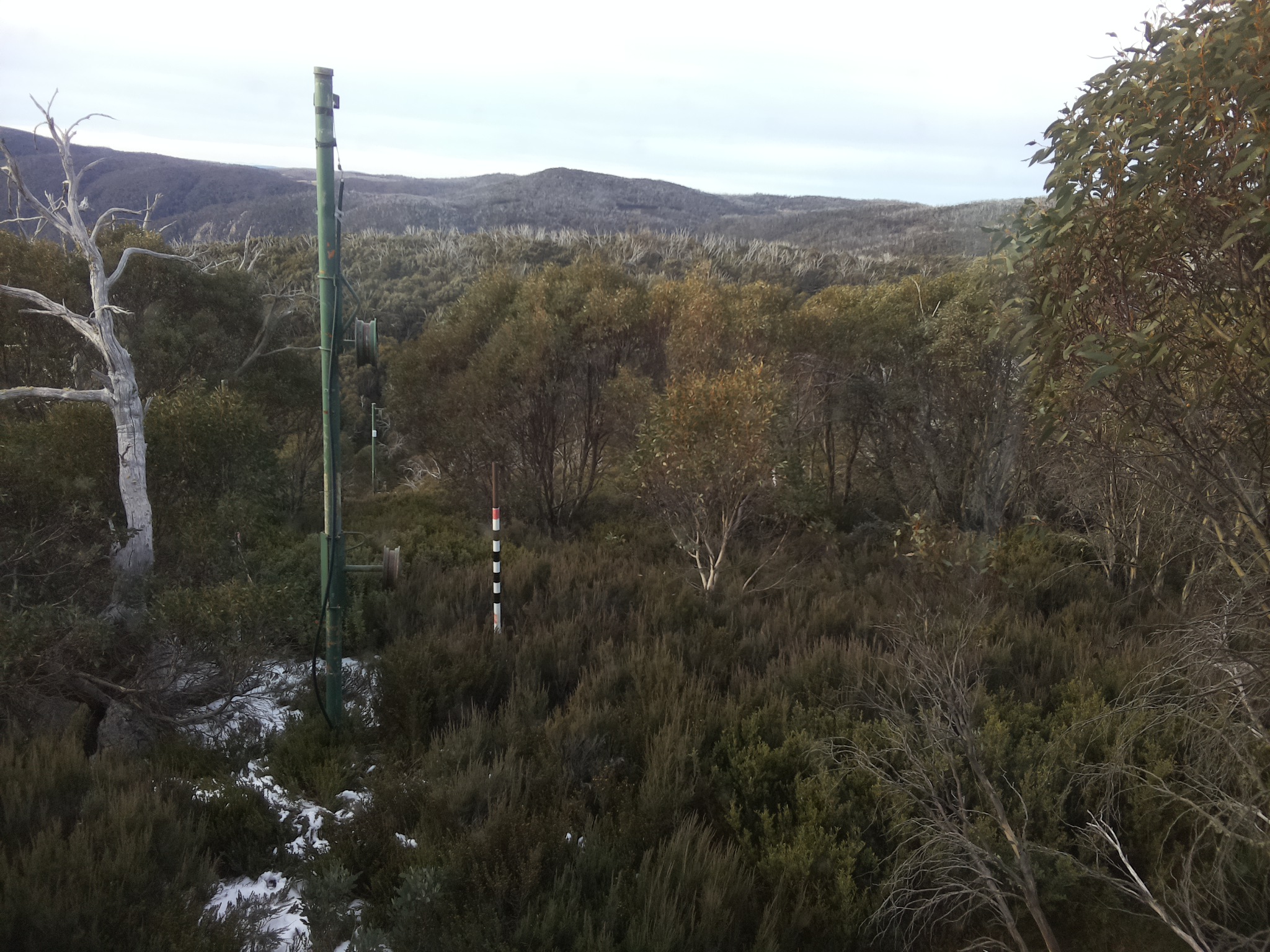 Bogong Web Cam 8:10am Monday 2nd of June 2025
