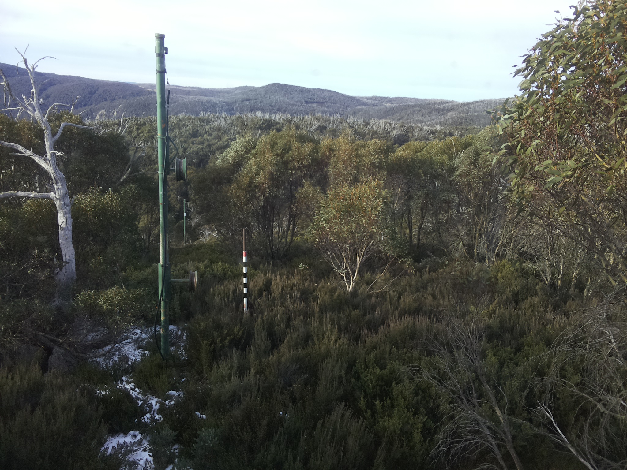 Bogong Web Cam 8:50am Monday 2nd of June 2025