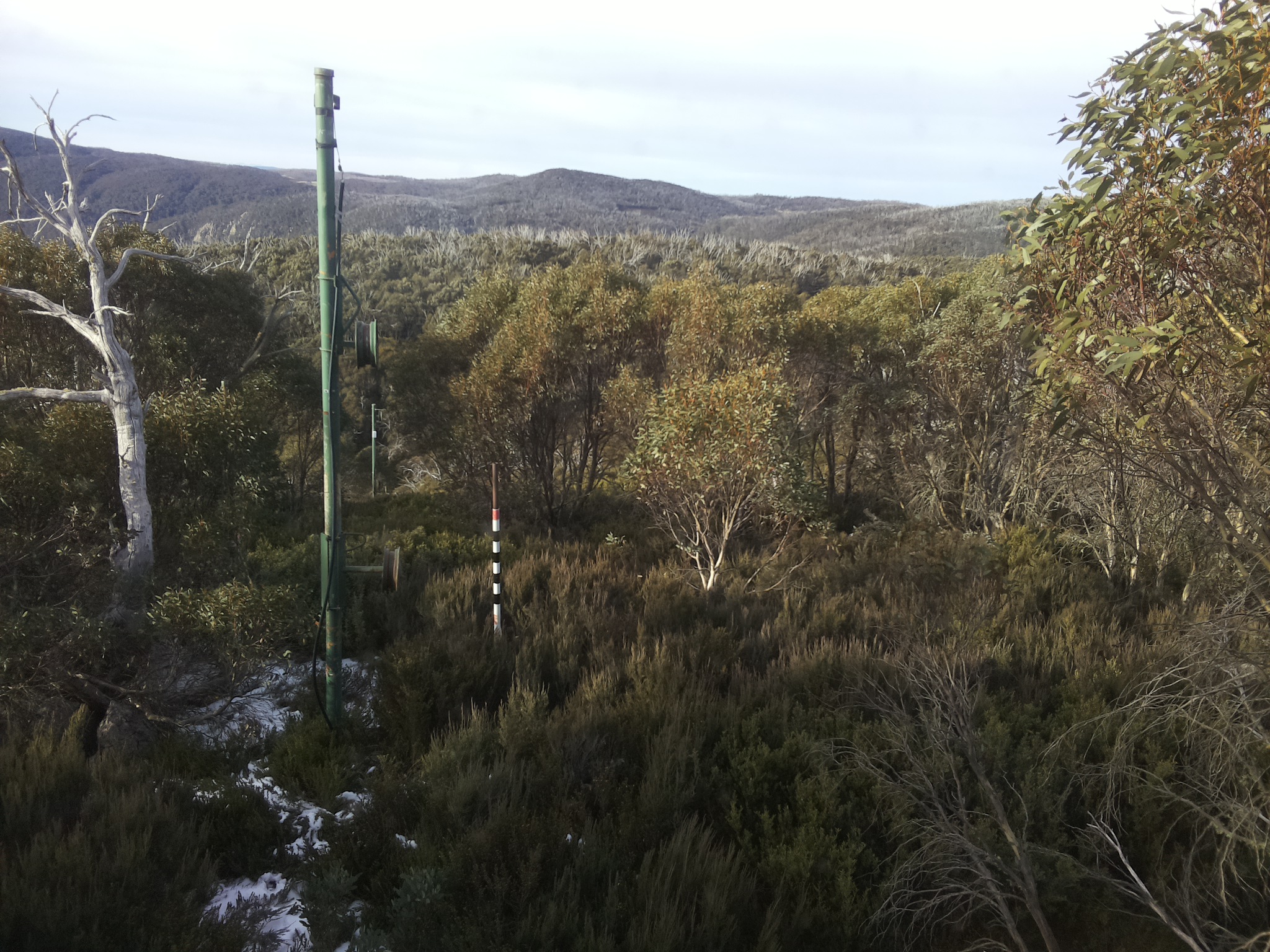 Bogong Web Cam 9:00am Monday 2nd of June 2025
