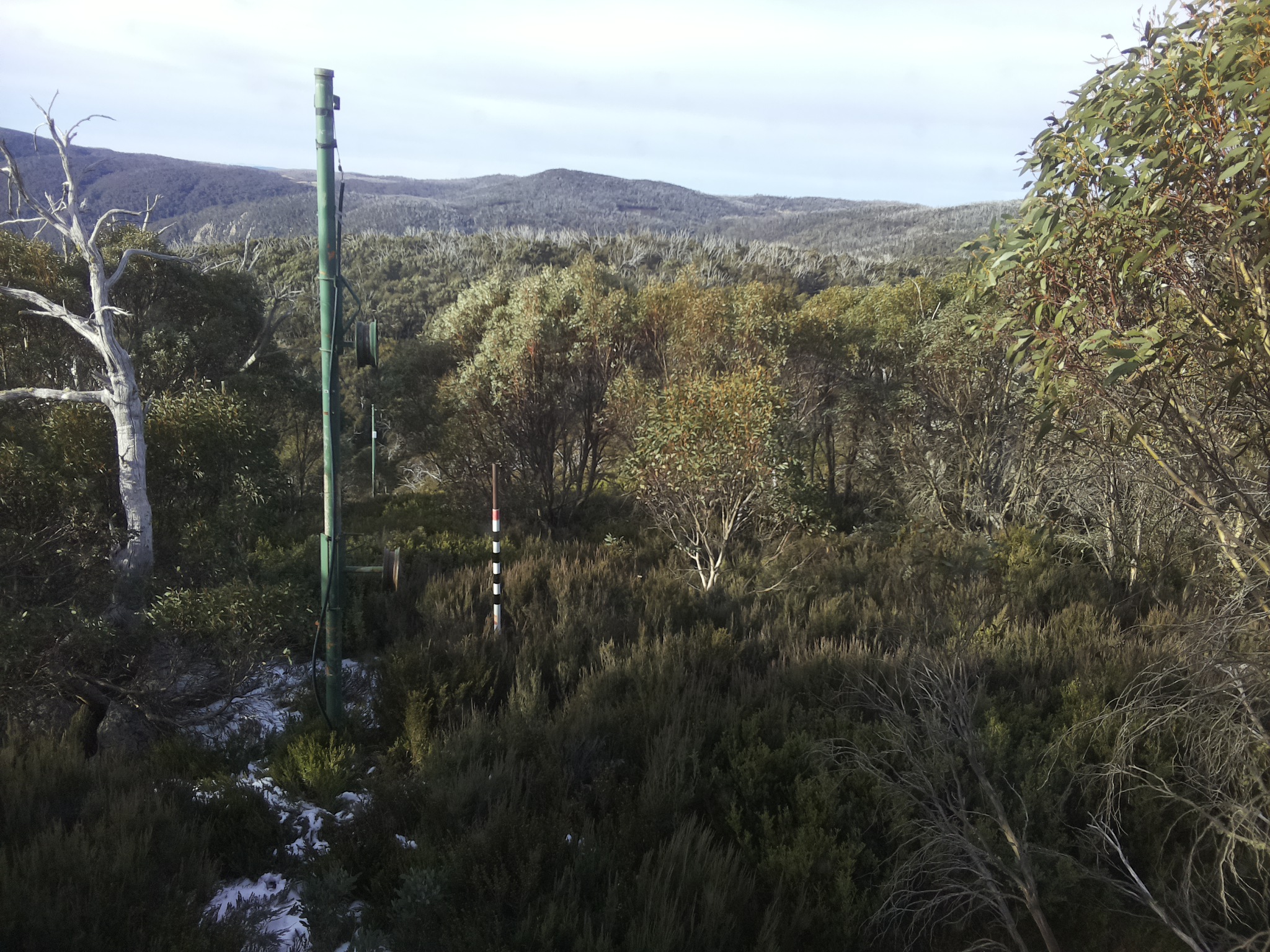 Bogong Web Cam 9:10am Monday 2nd of June 2025