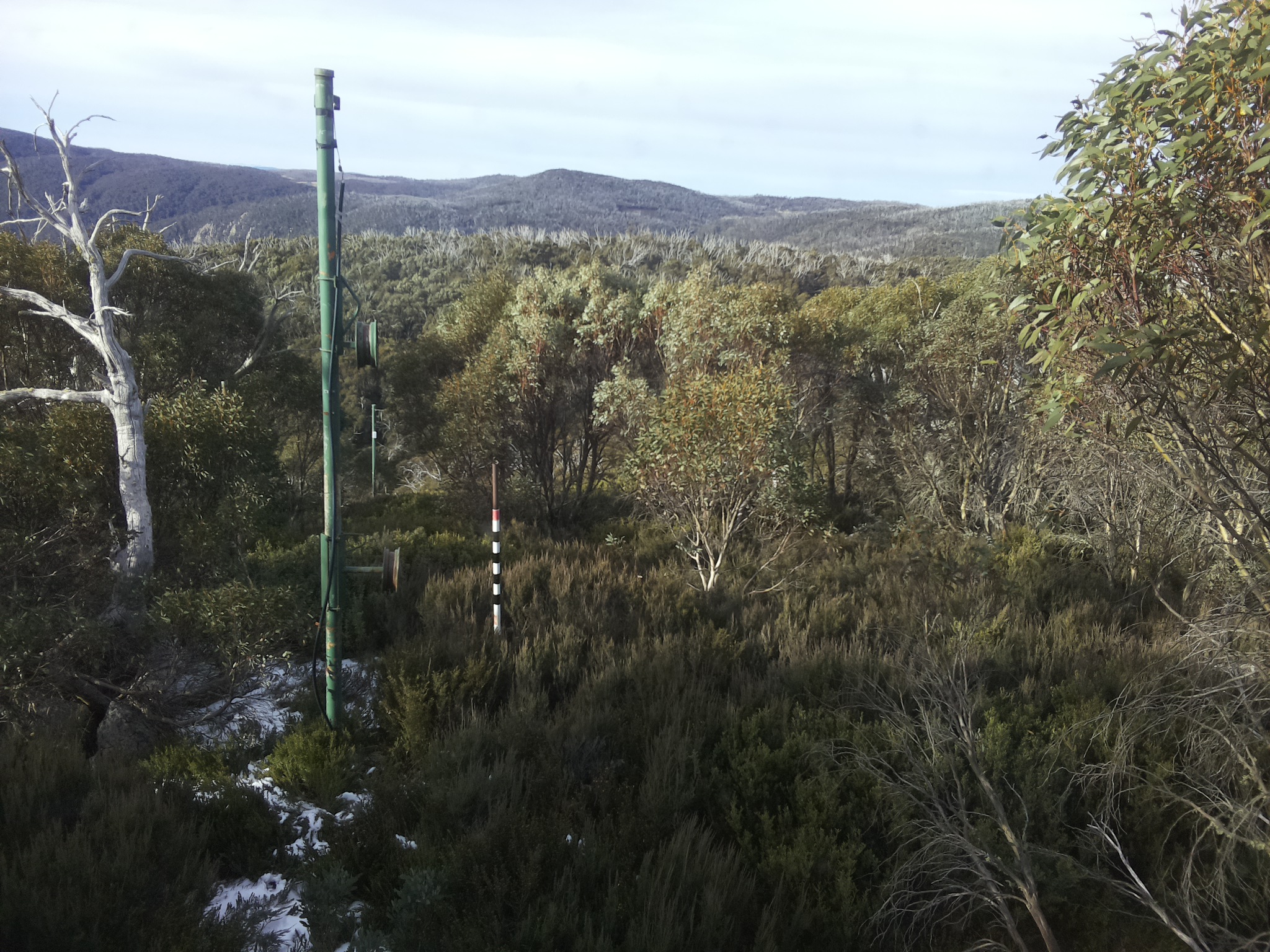 Bogong Web Cam 9:20am Monday 2nd of June 2025